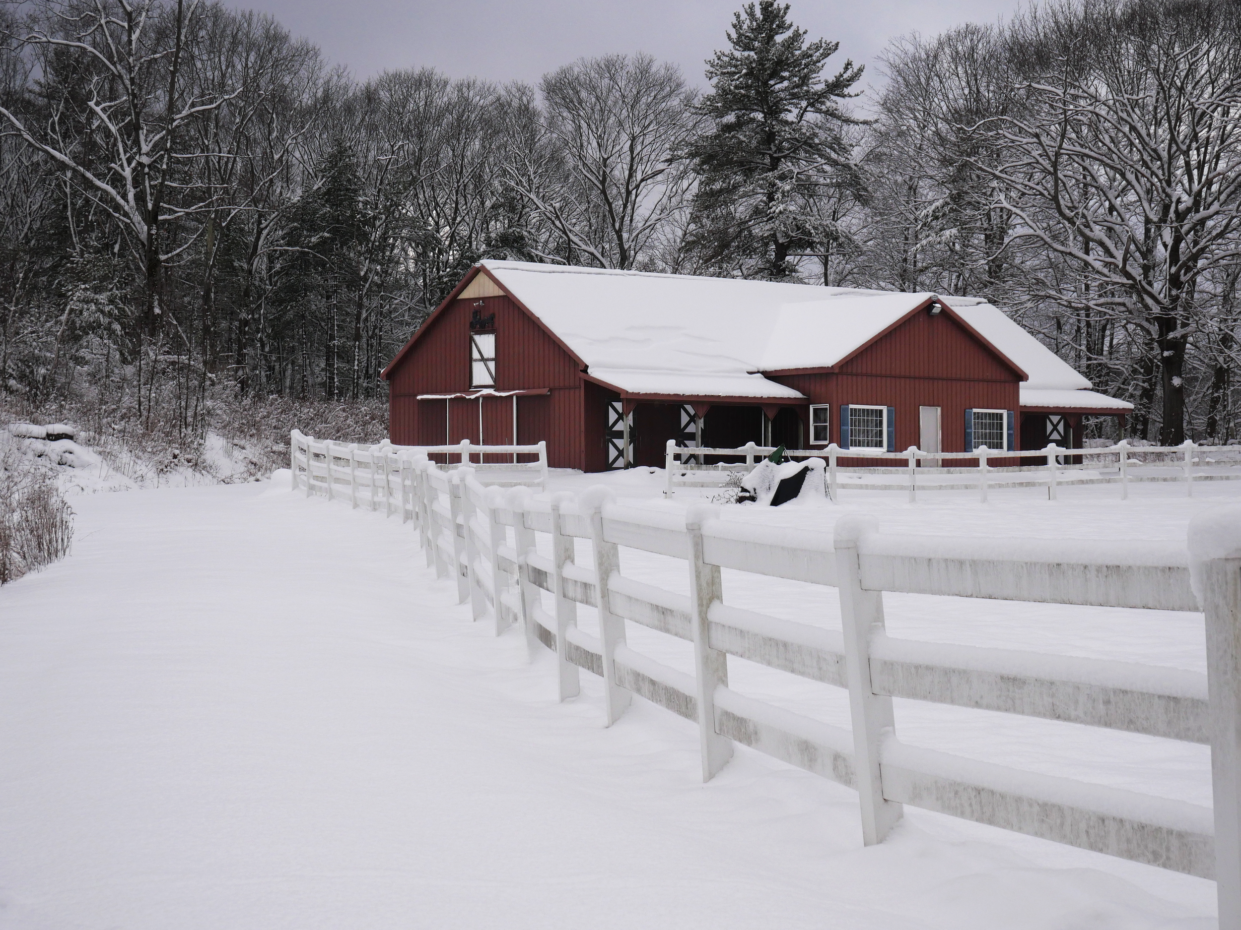 Barn 2.png