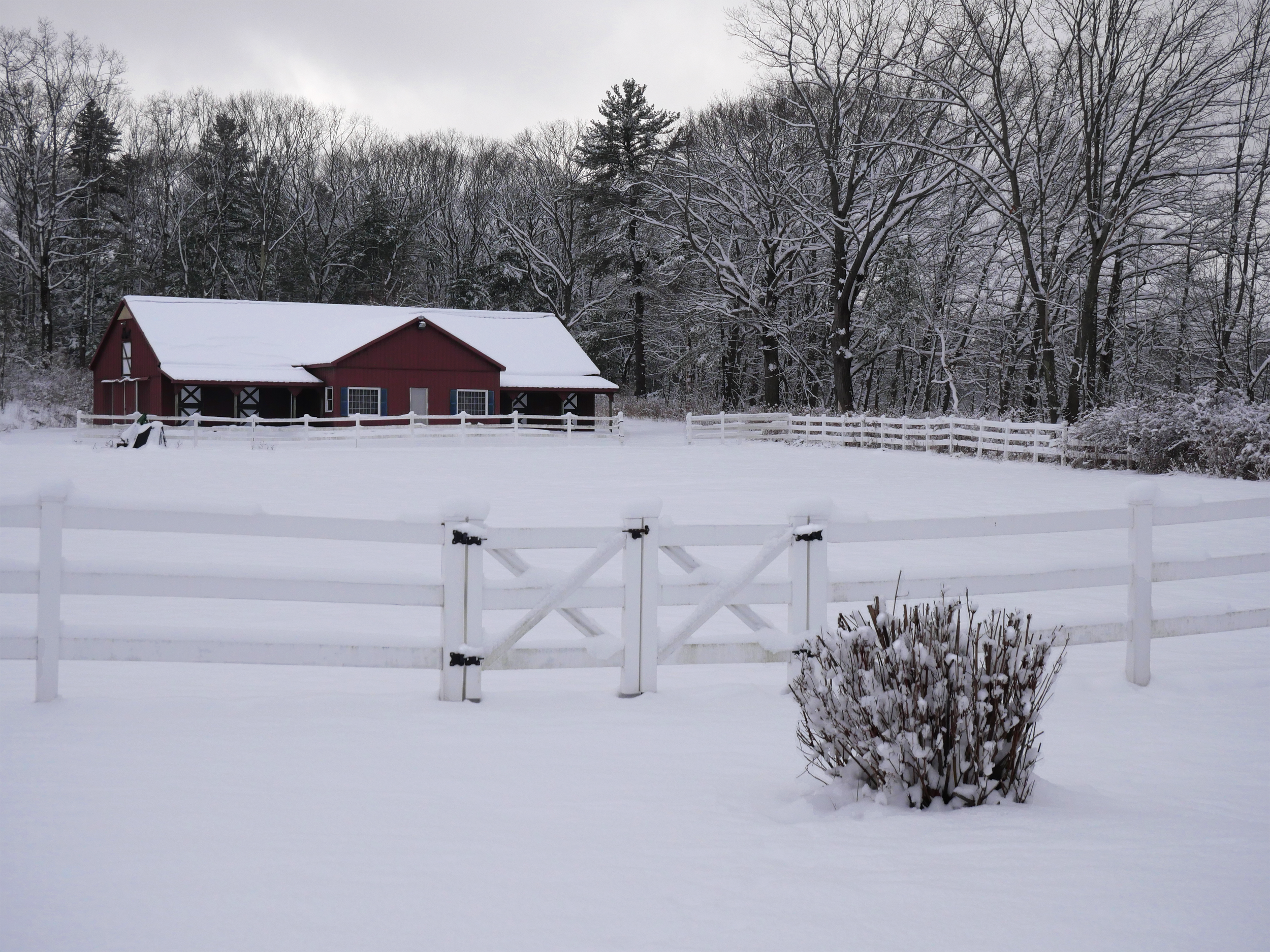 Barn.png