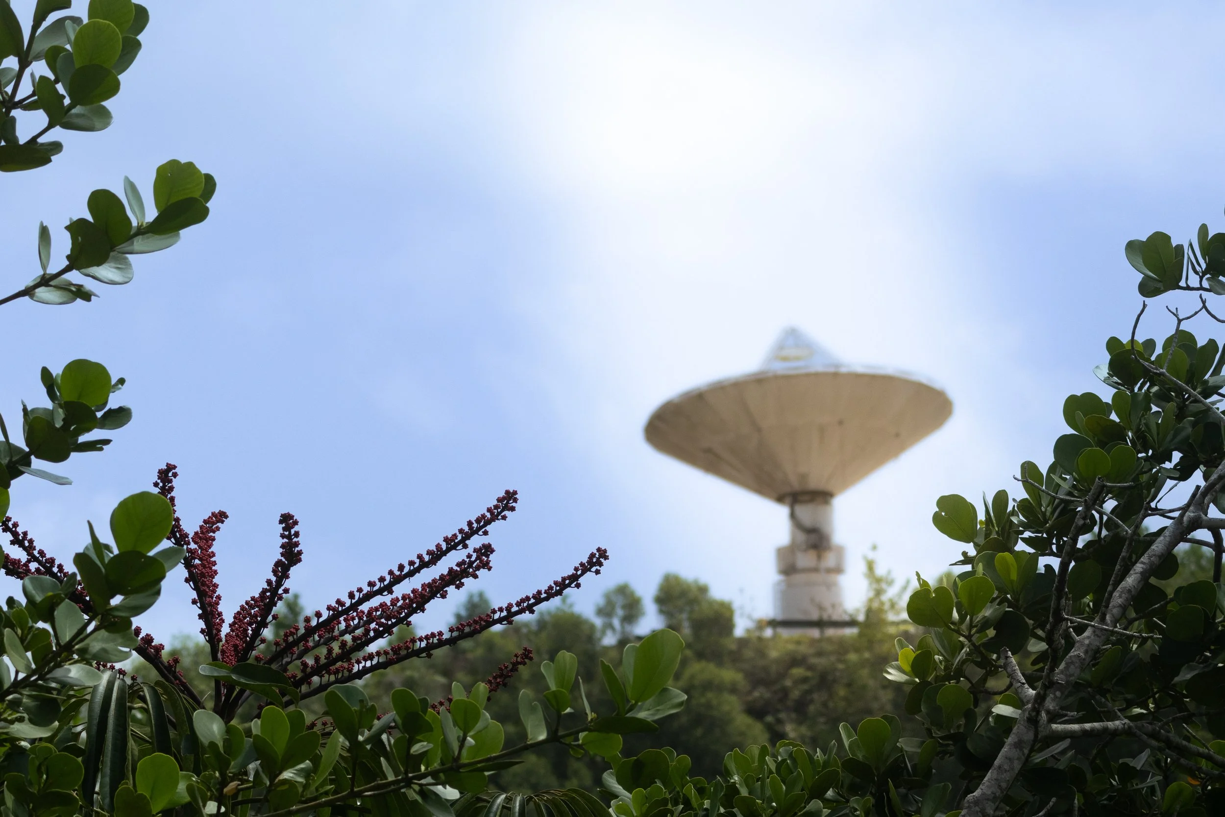 SatCom.jpg