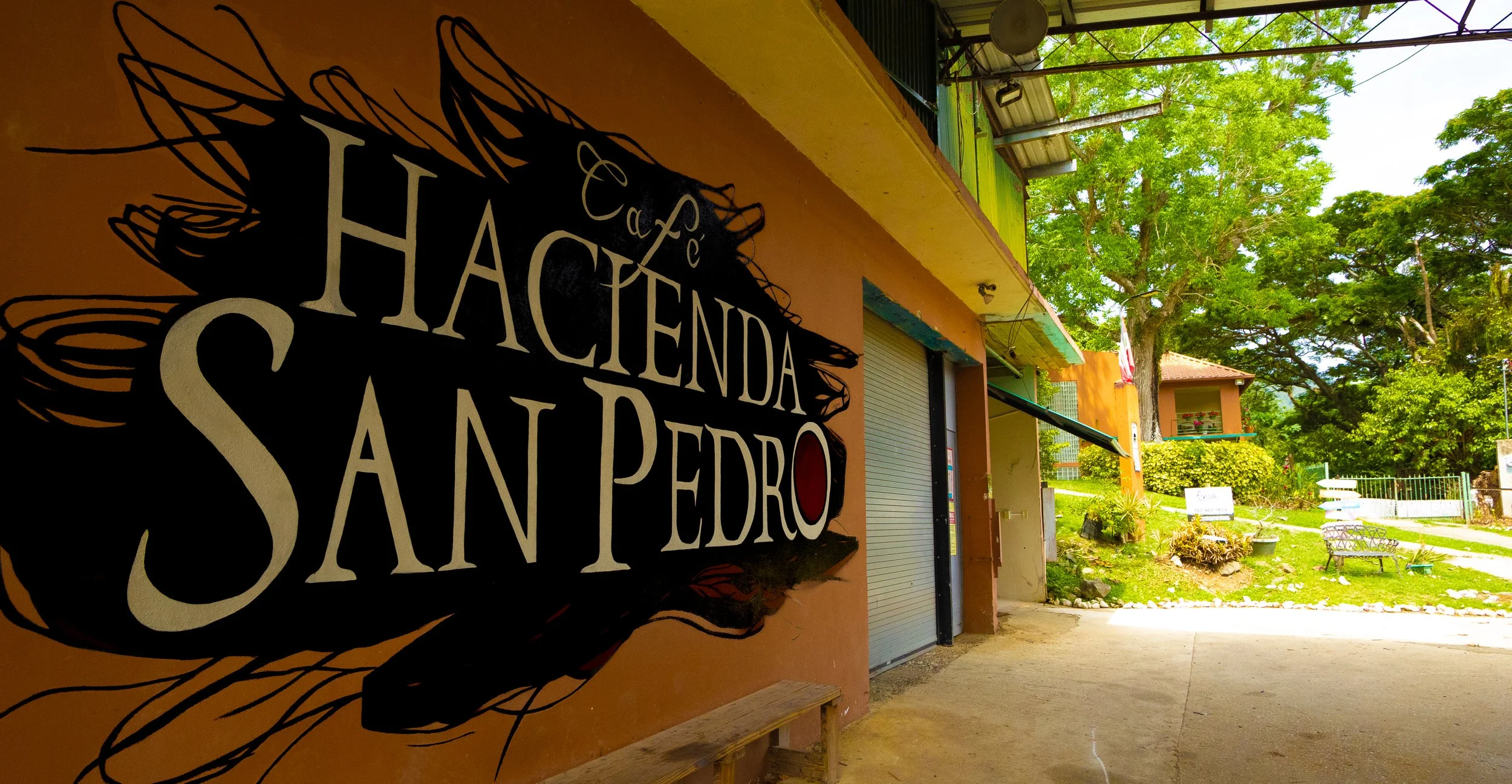 SanPedro.jpg