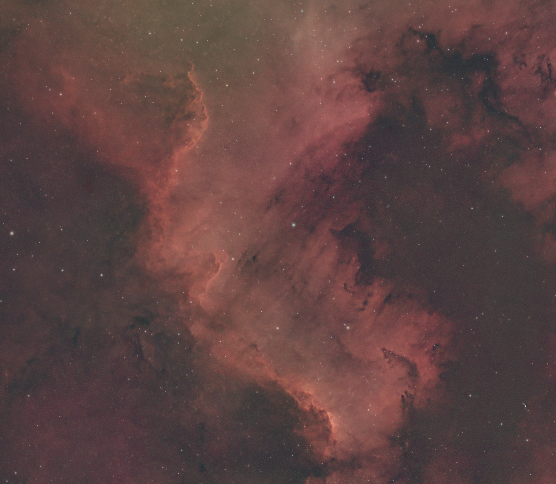 CygnusWall-Square2.png
