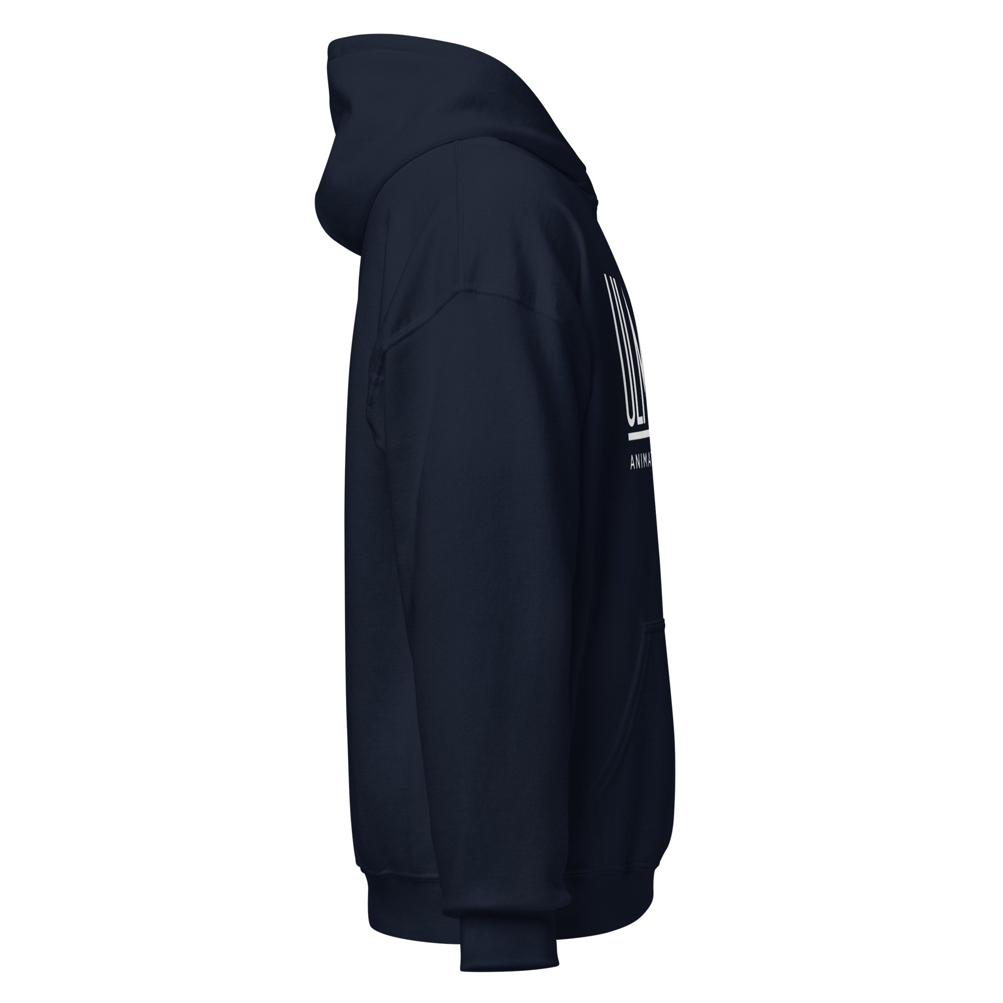 Ulmer Inc. Animation Hoodie