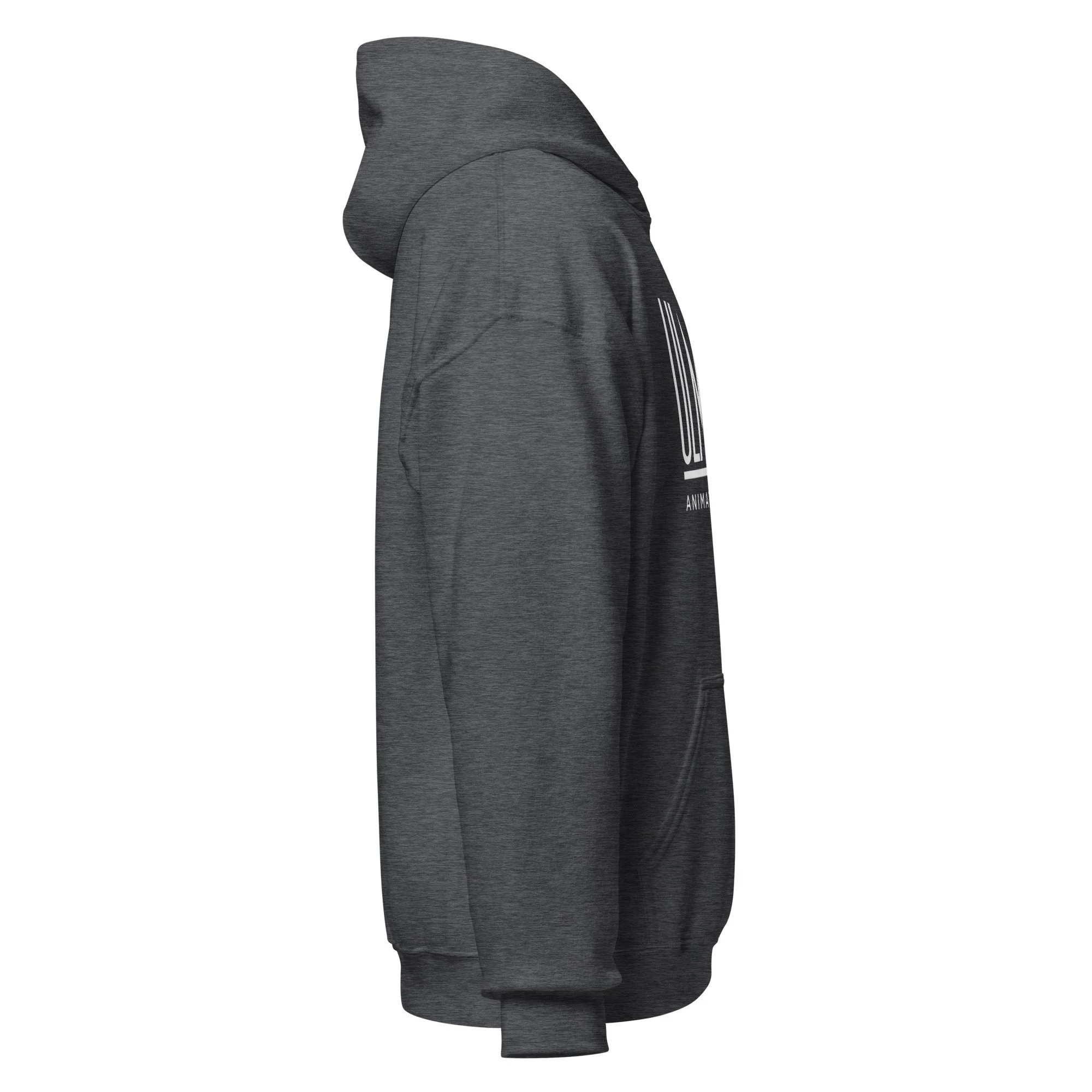 Ulmer Inc. Animation Hoodie