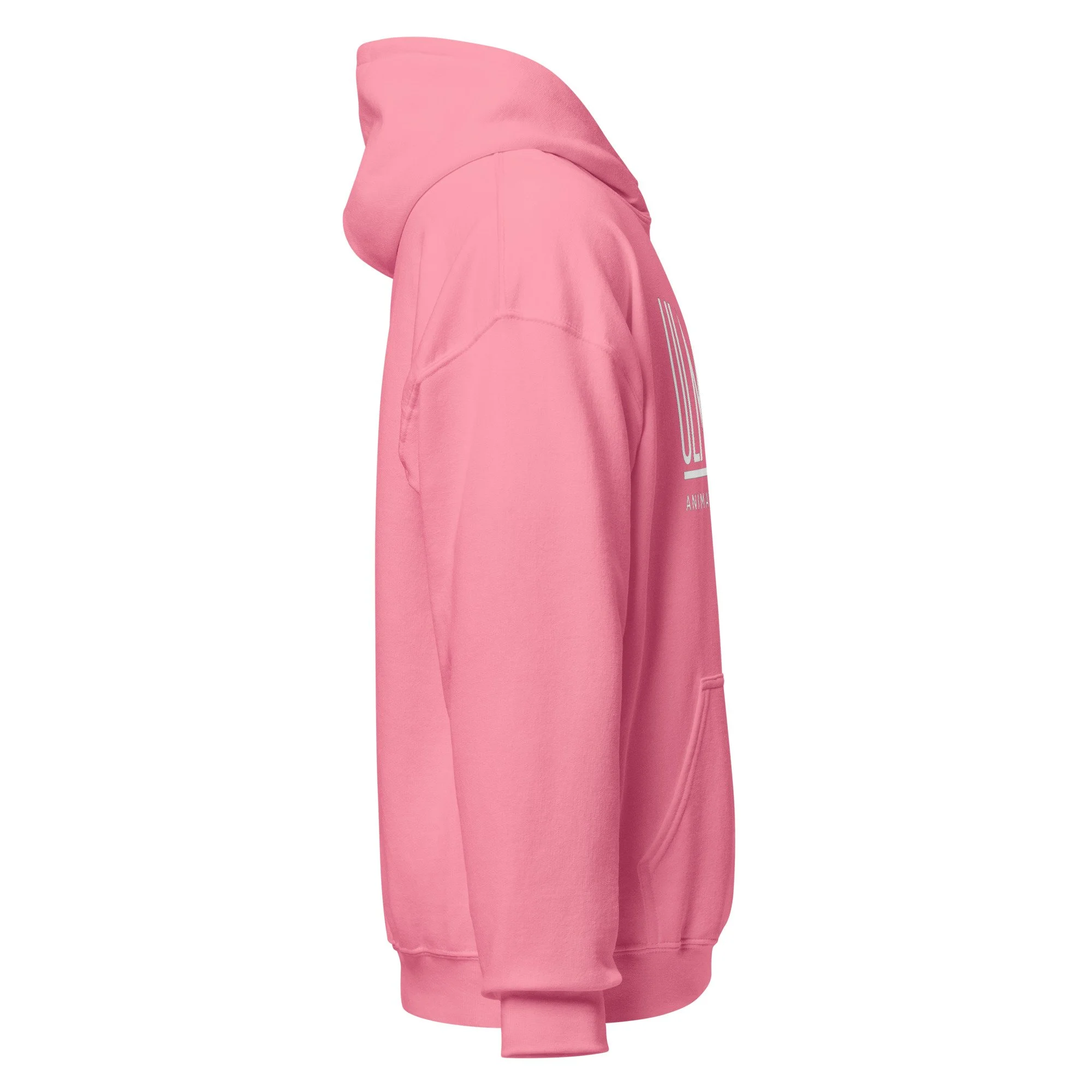 Ulmer Inc. Animation Hoodie