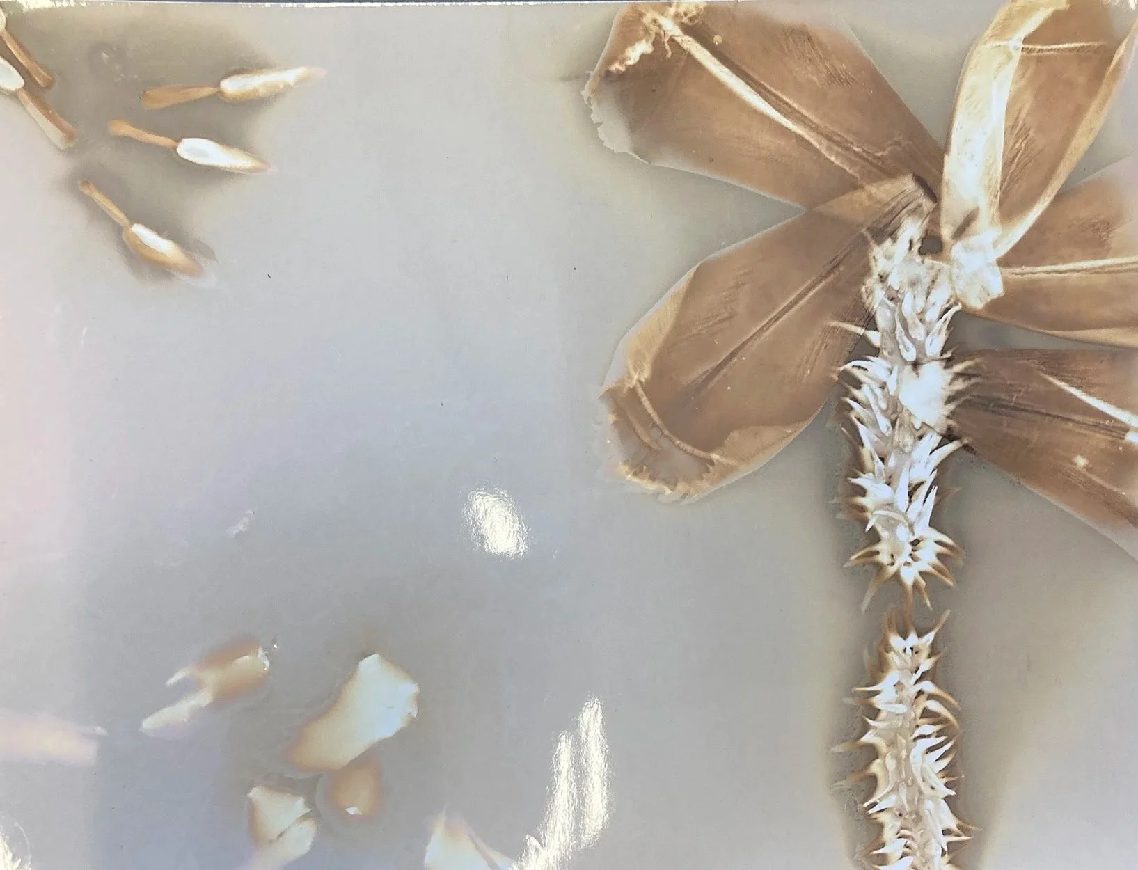 Plymouth Photo Festival Workshop