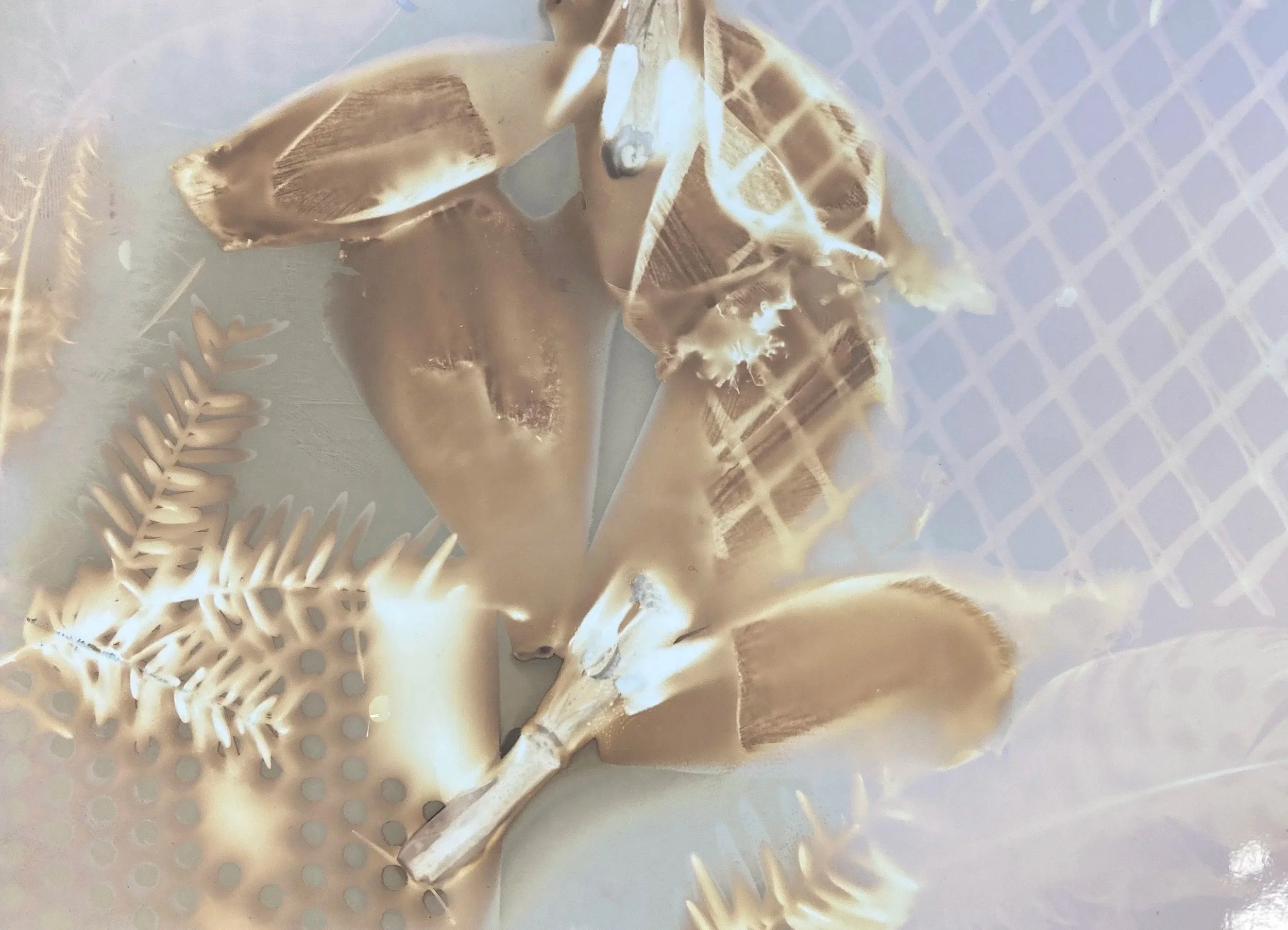 Plymouth Photo Festival Workshop