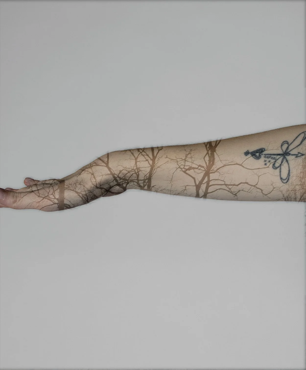 Double Exposure 3.jpg