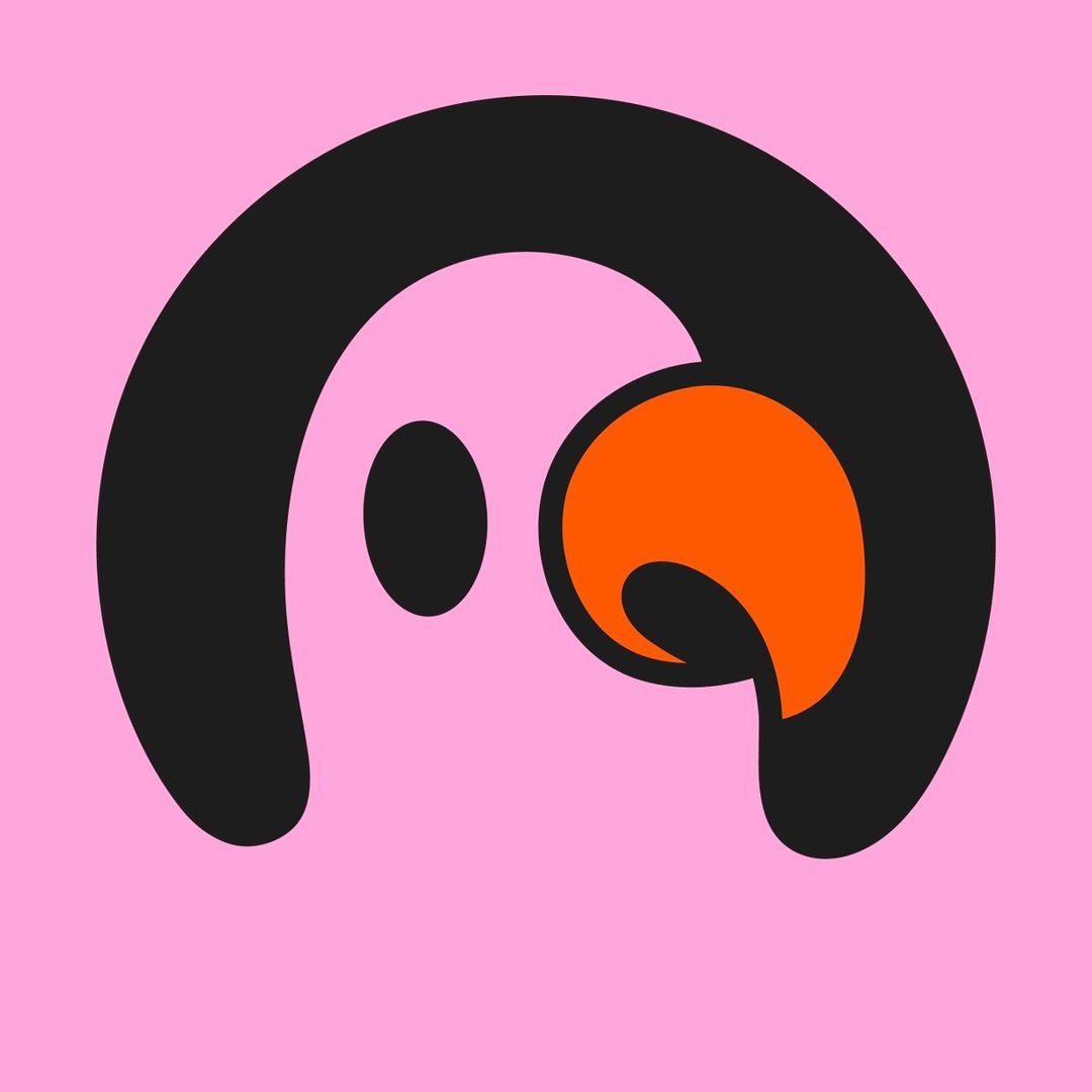 Illustration of a stylized black and orange toucan bird on a pink background.