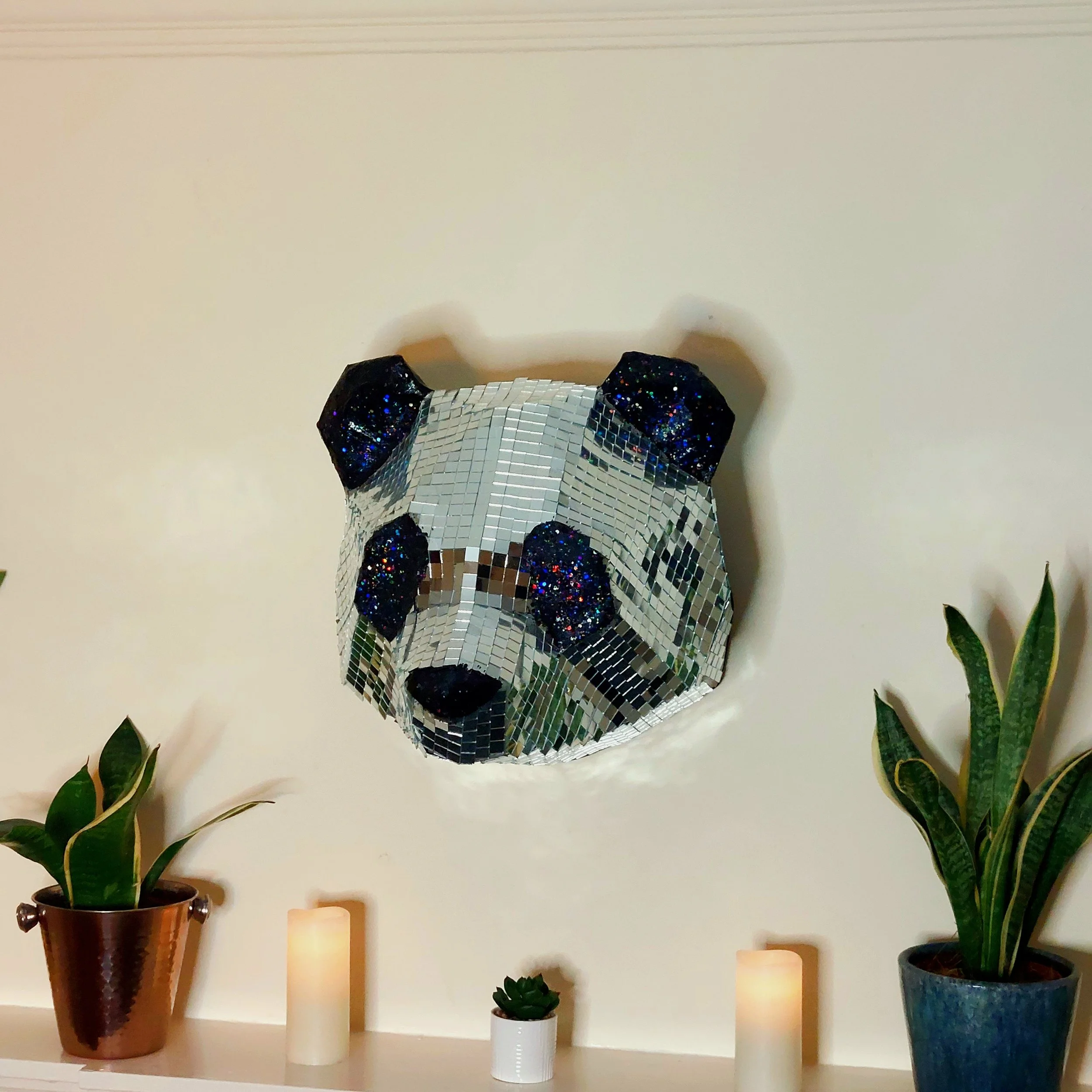 Disco Panda