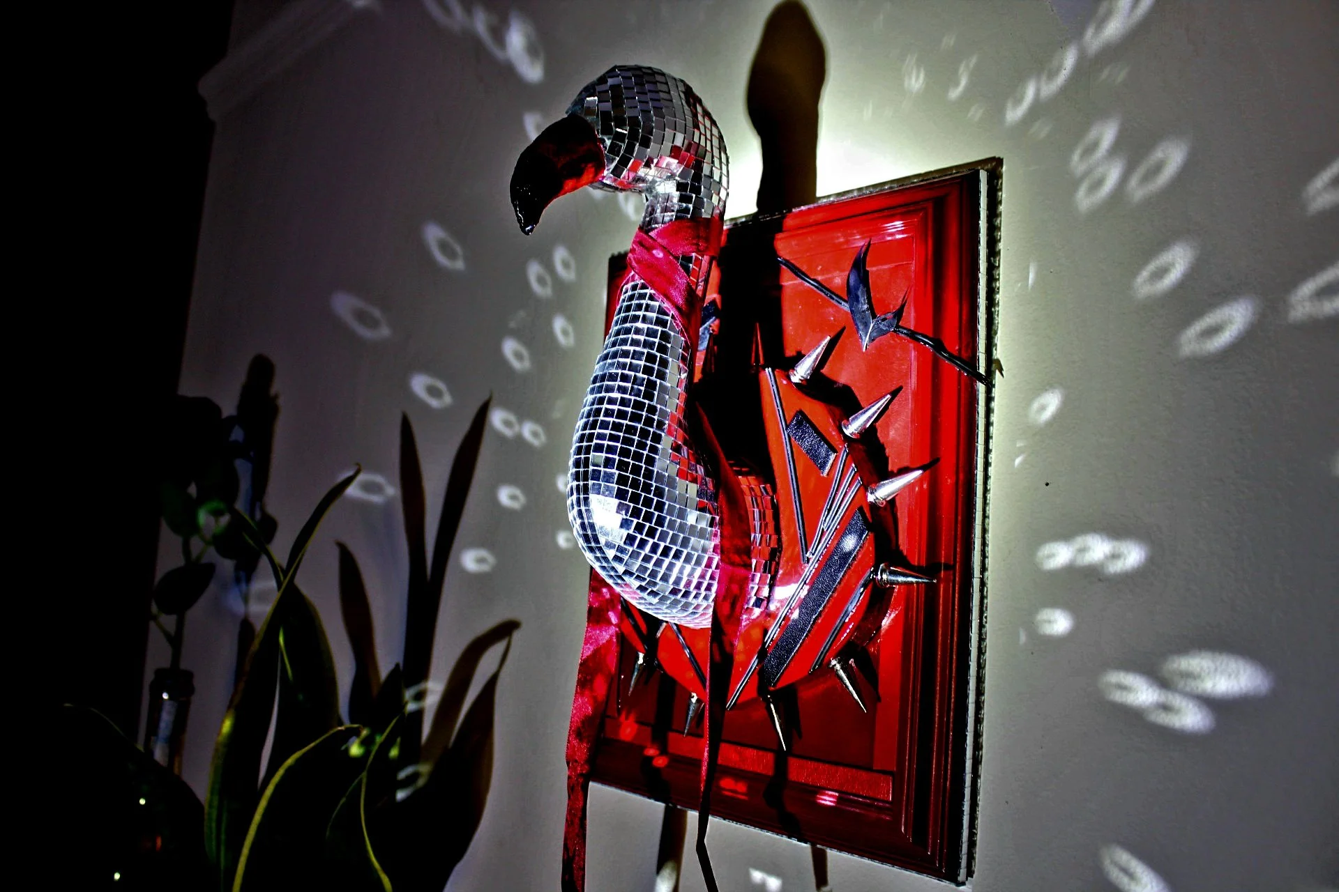 Disco Flamingo S&M