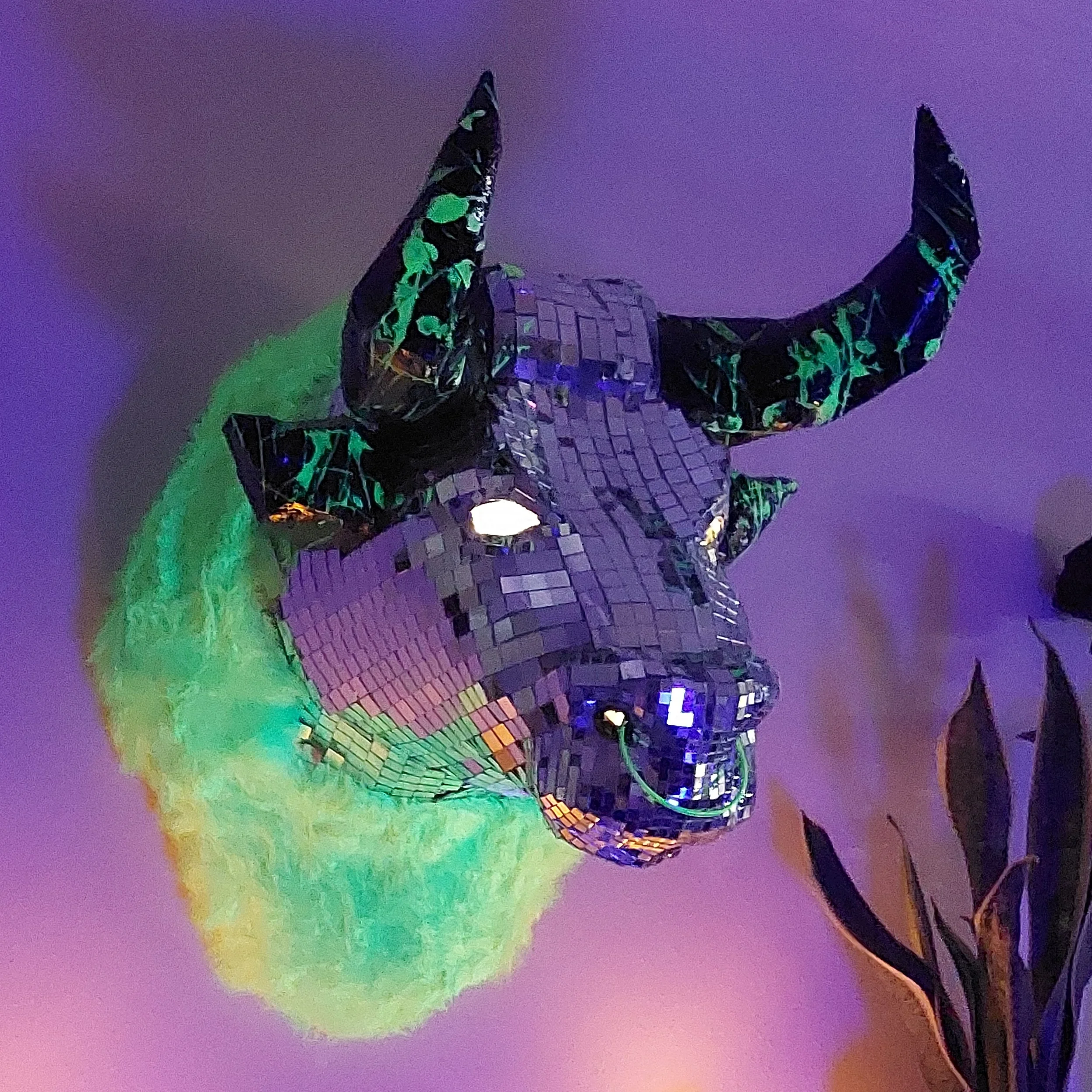 20230426_221310.jpg