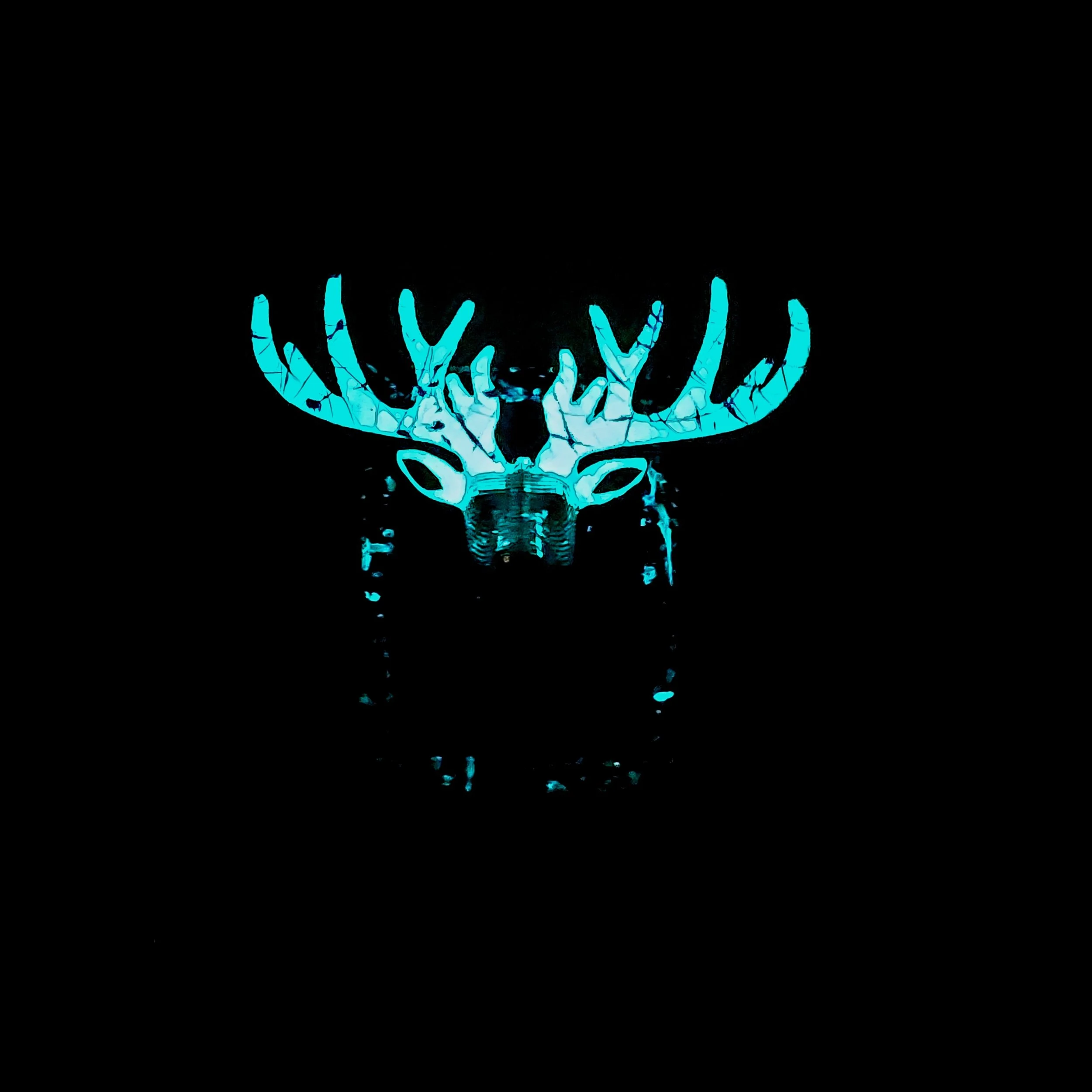 20230605_005429.jpg