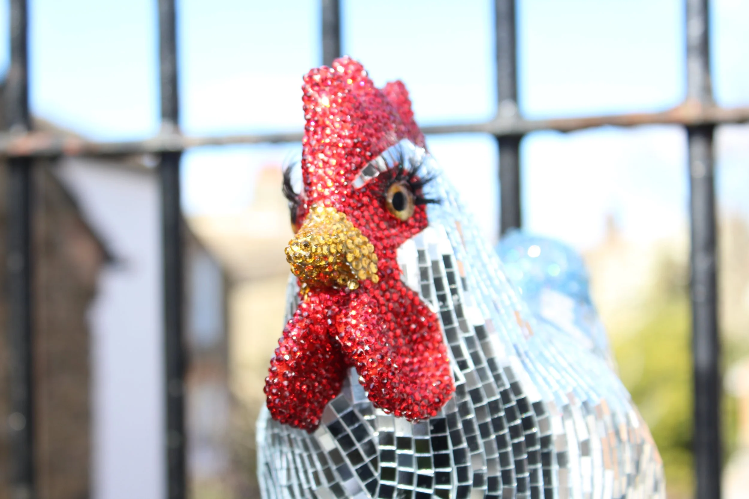Disco Chicken