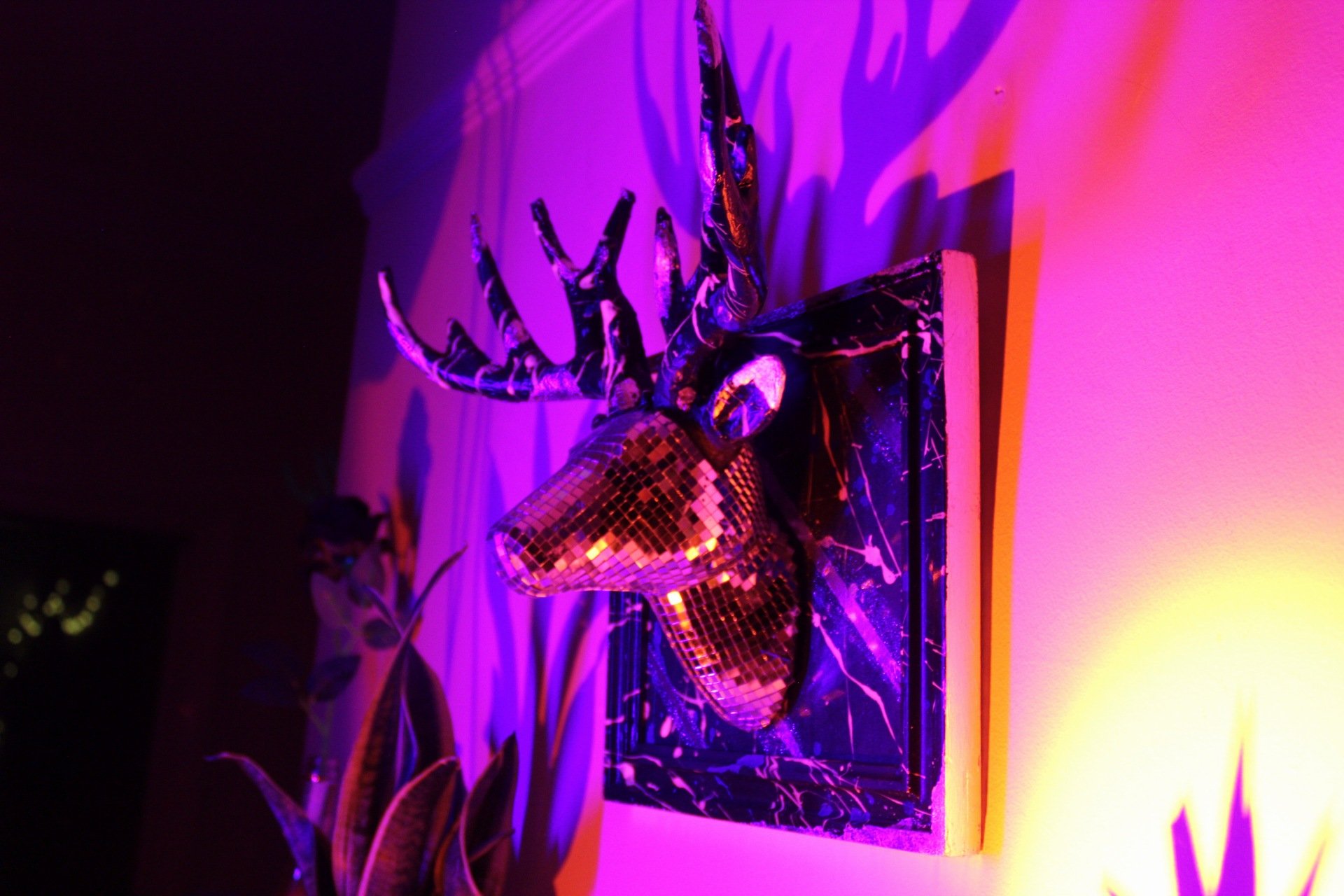 Neon Splash Disco Stag