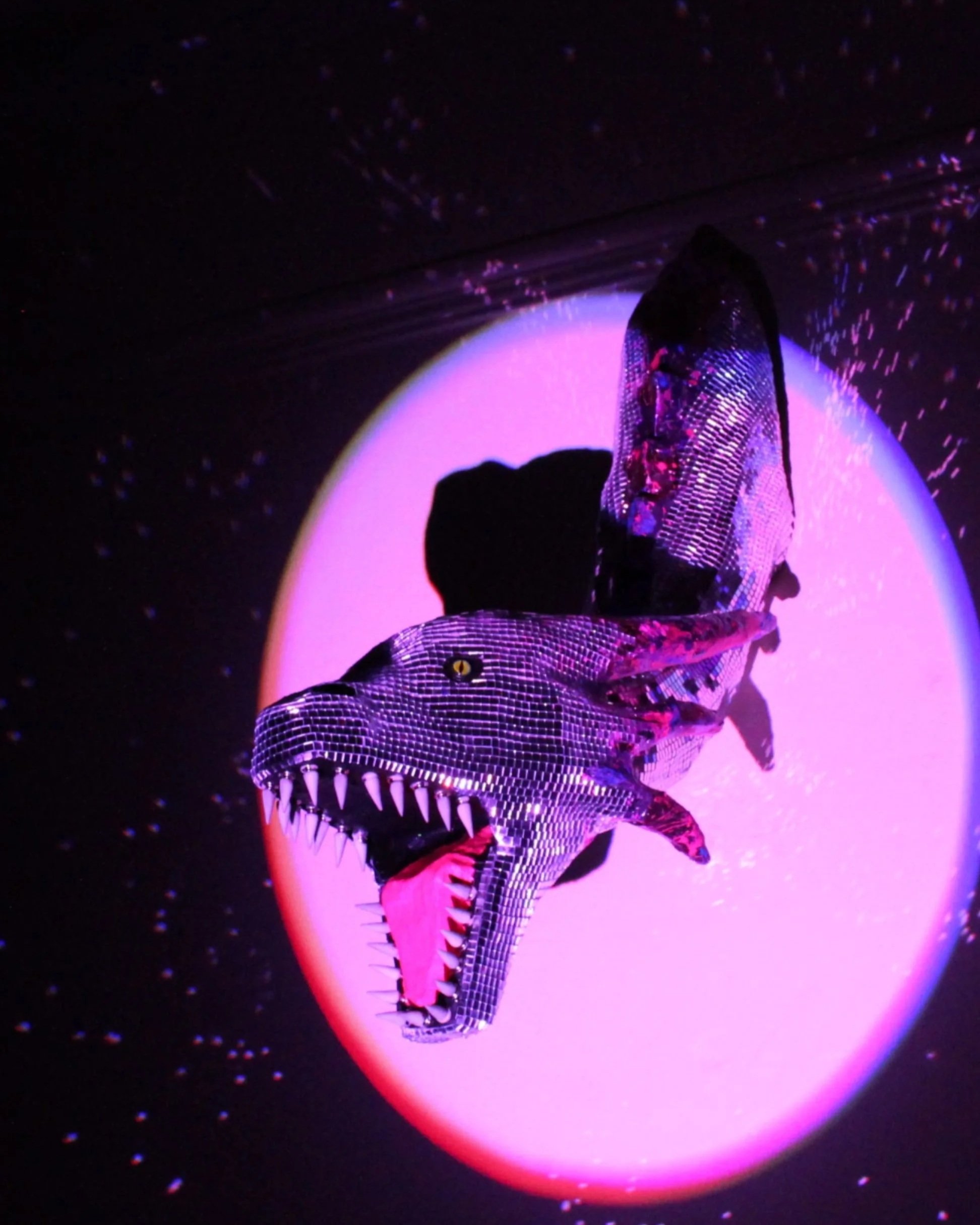 Disco Dragon