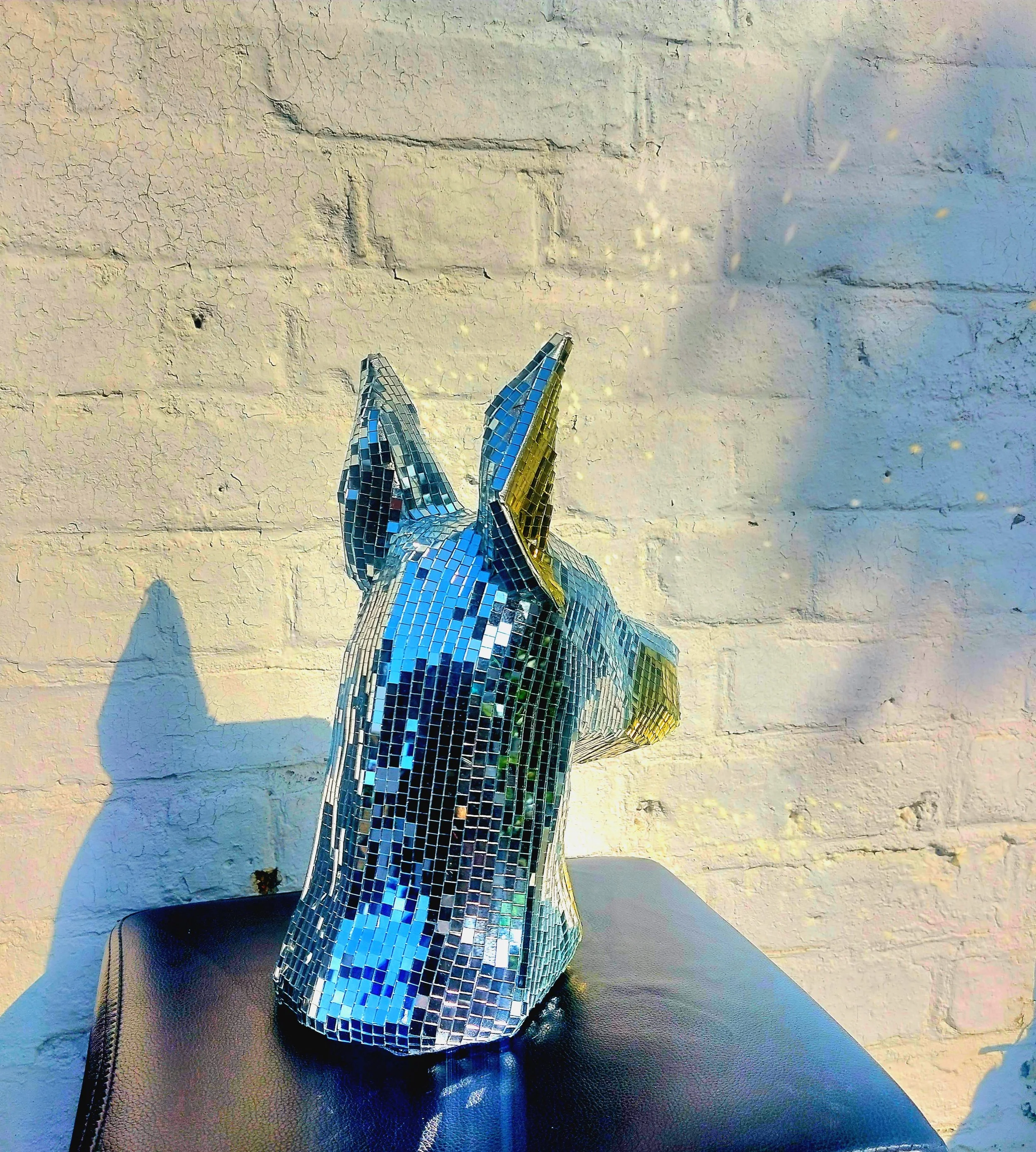 20230903_160651.jpg