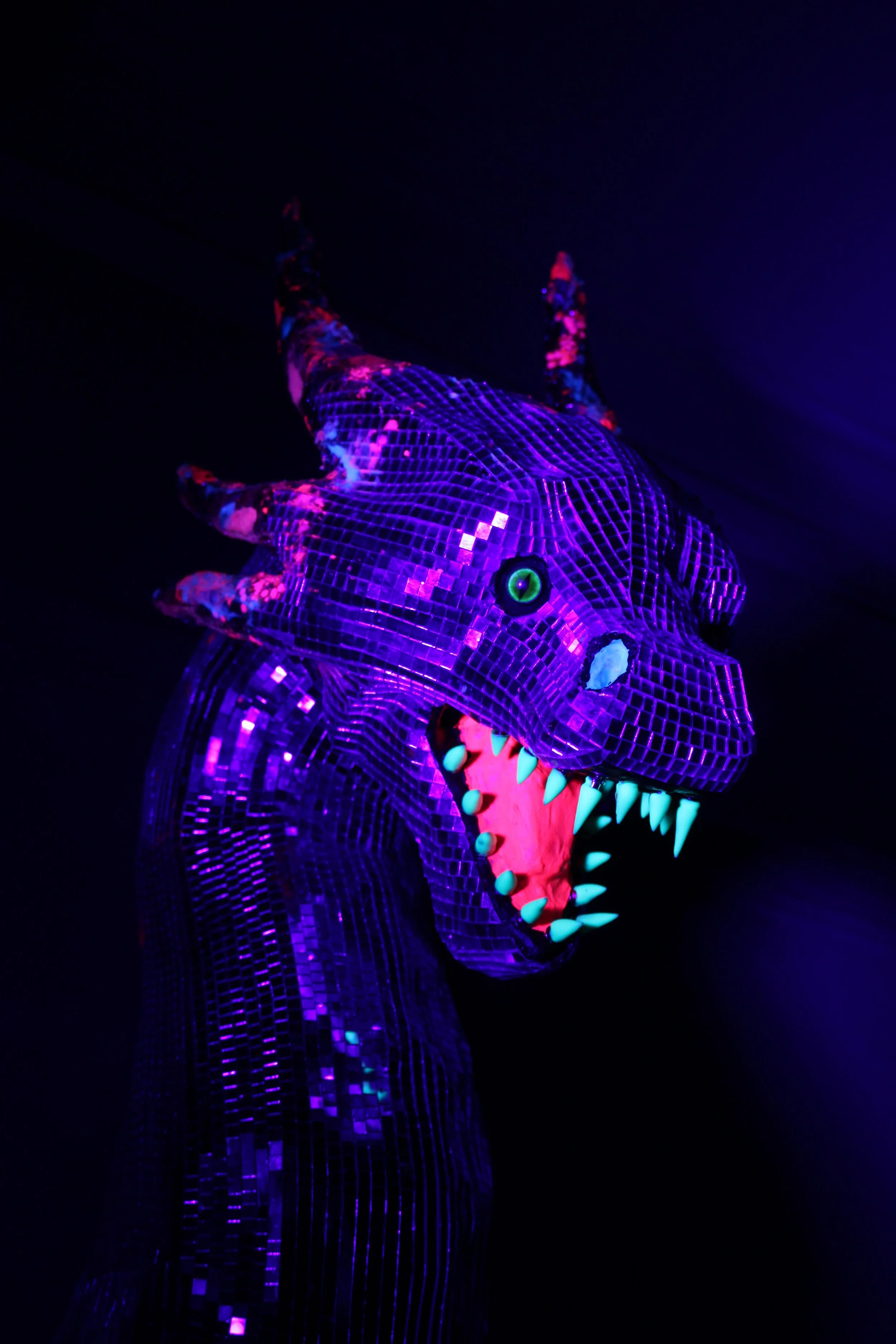 Disco Dragon