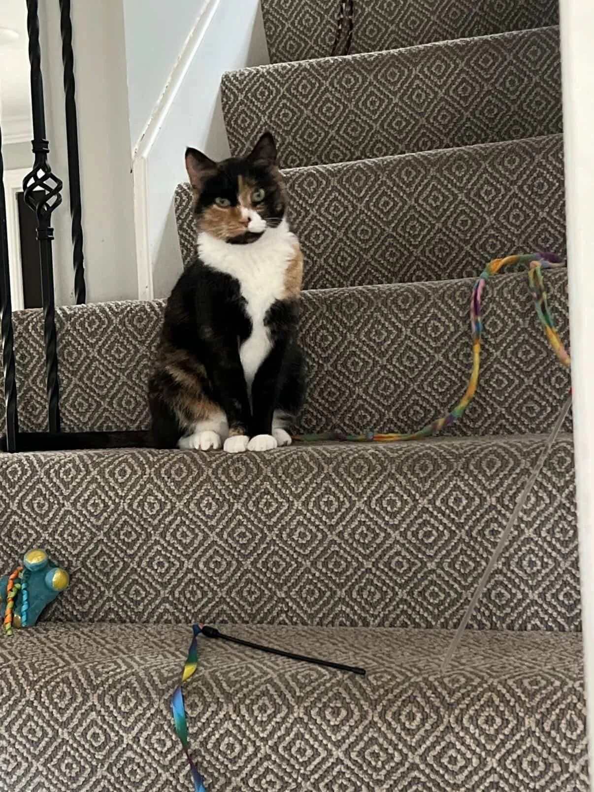 A calico cat with black, orange, and white fur sitting on a patterned staircase, looking toward the camera. The staircase has a brown geometric carpet, with toys and colorful strings scattered around.