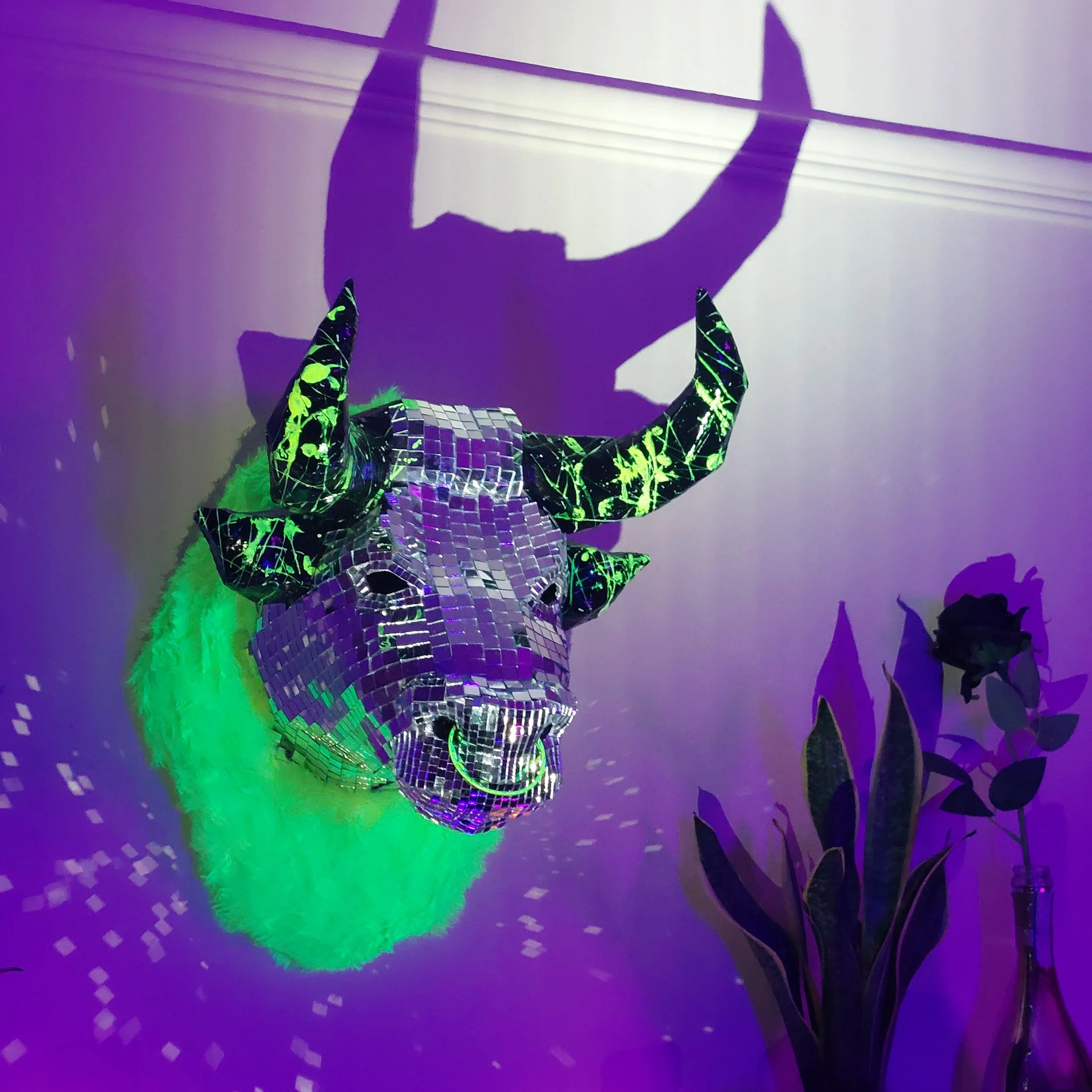 20230426_221148.jpg