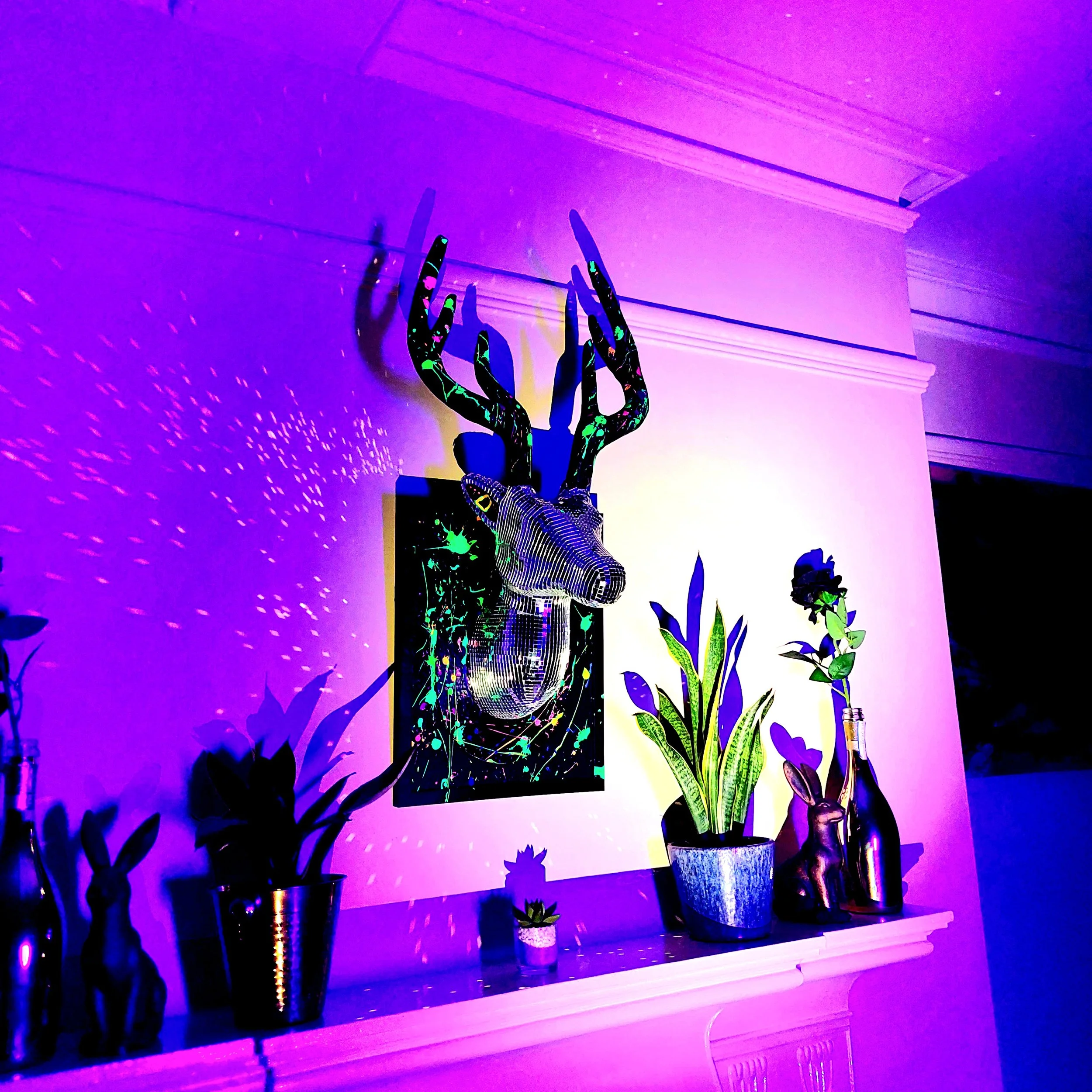 Neon Splash Disco Stag