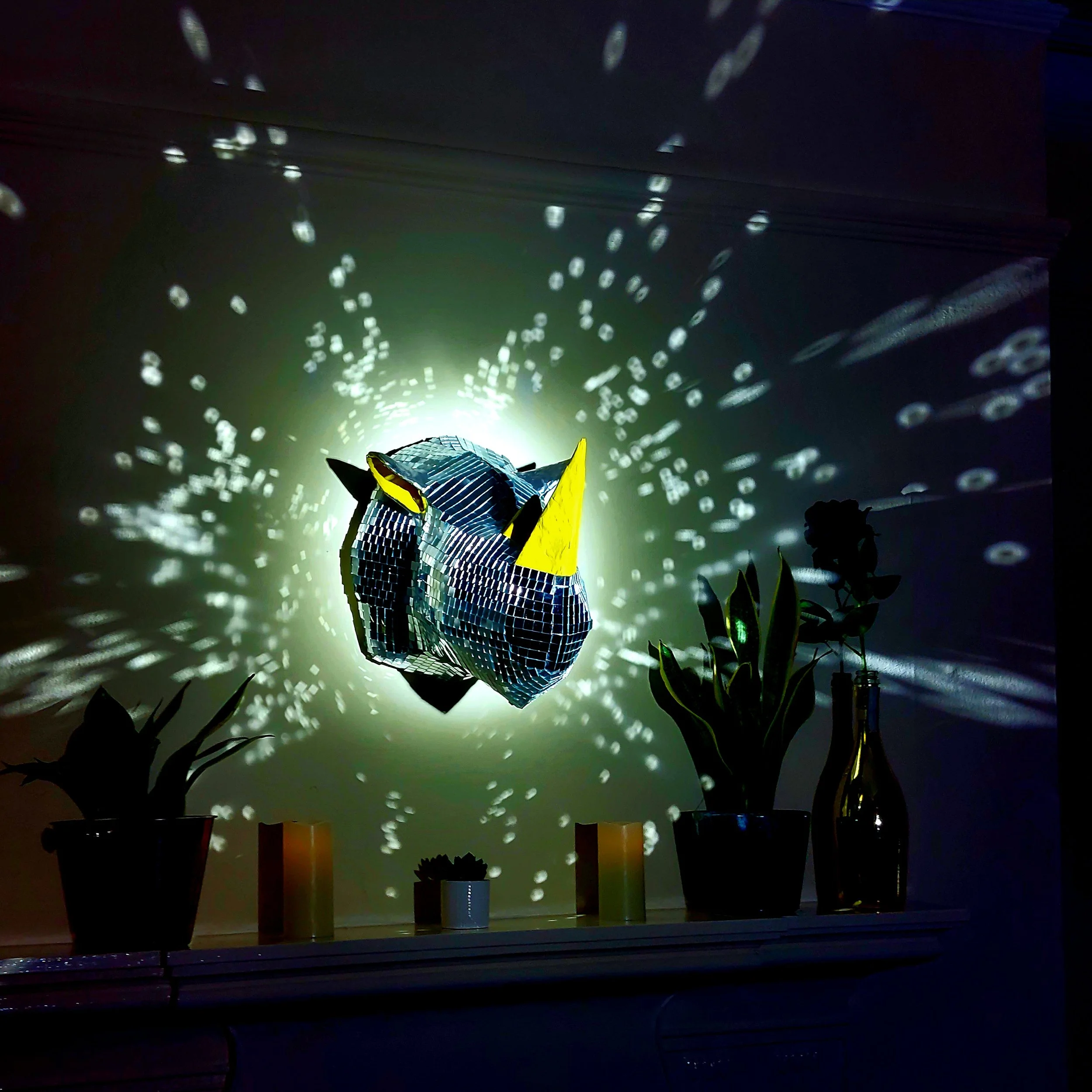 Disco Rhino