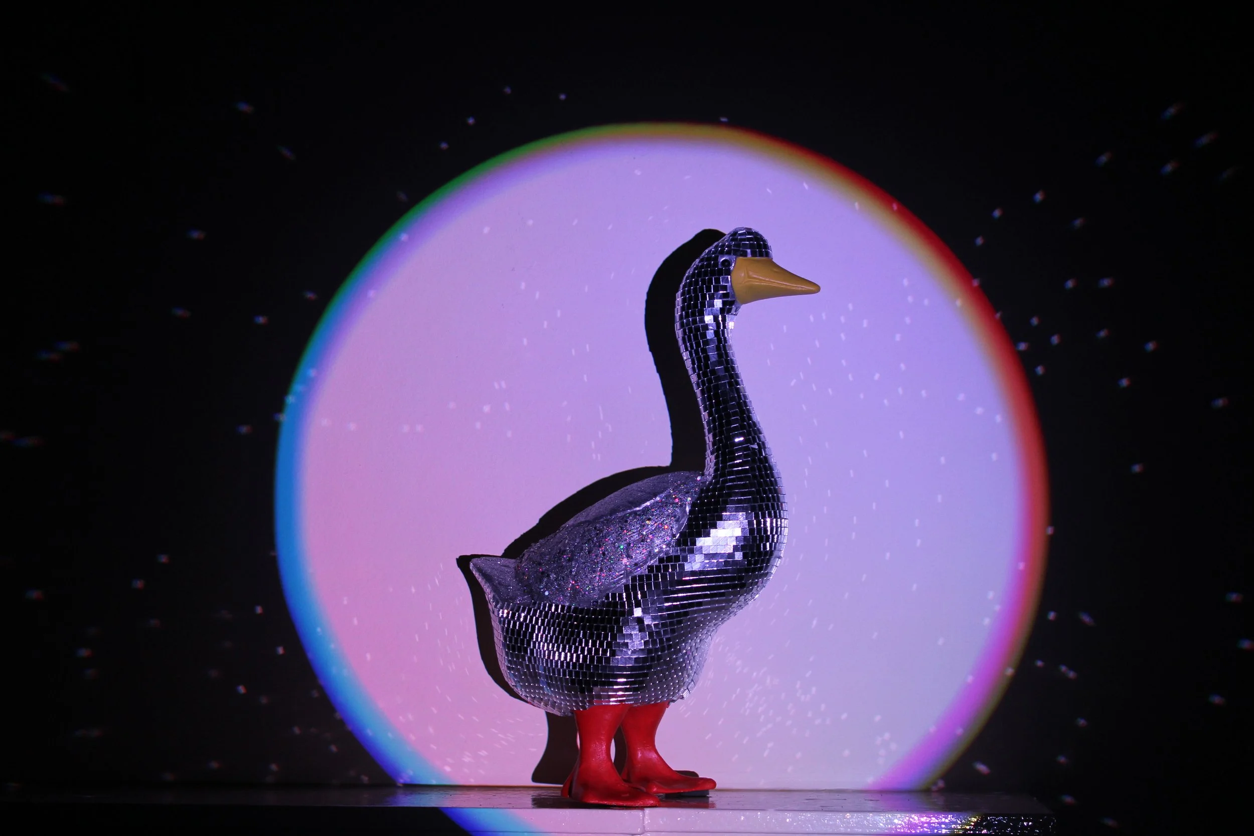 A shiny, mirror-like swan figure with a disco ball pattern, standing on red legs, with a background of purple and green lighting and a circular light projection.