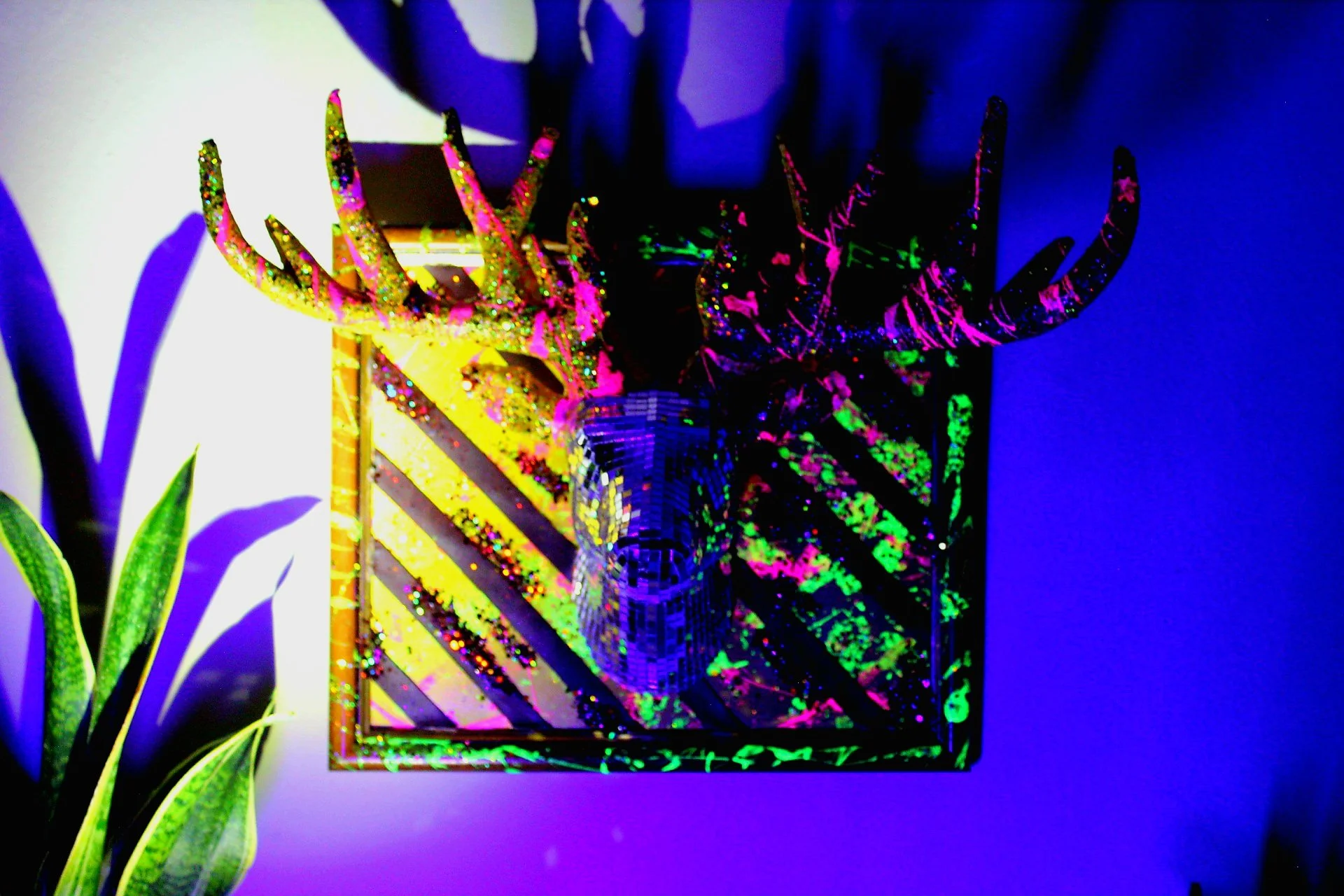 20230112202605_IMG_6234.JPG.jpg