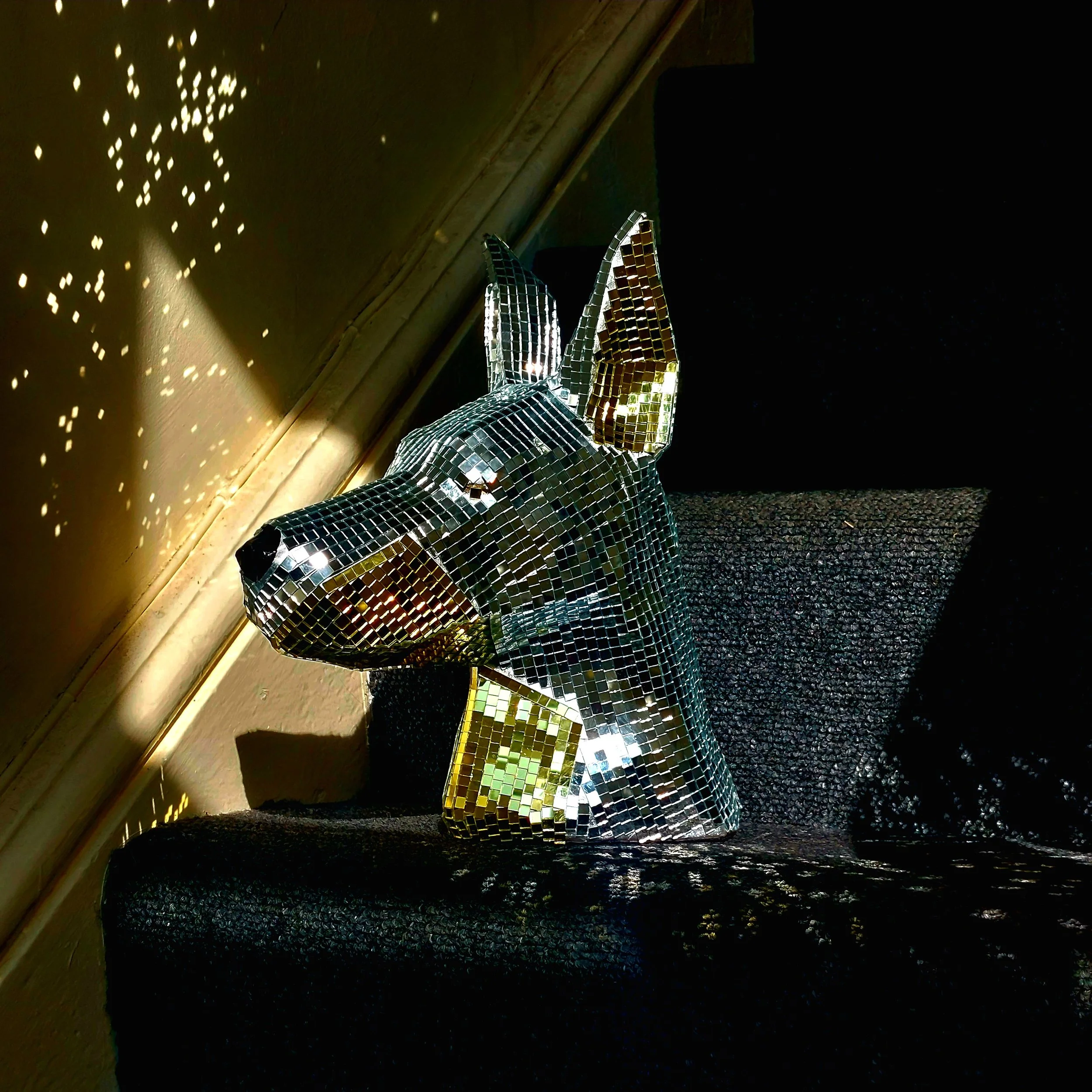 20230903_161544.jpg
