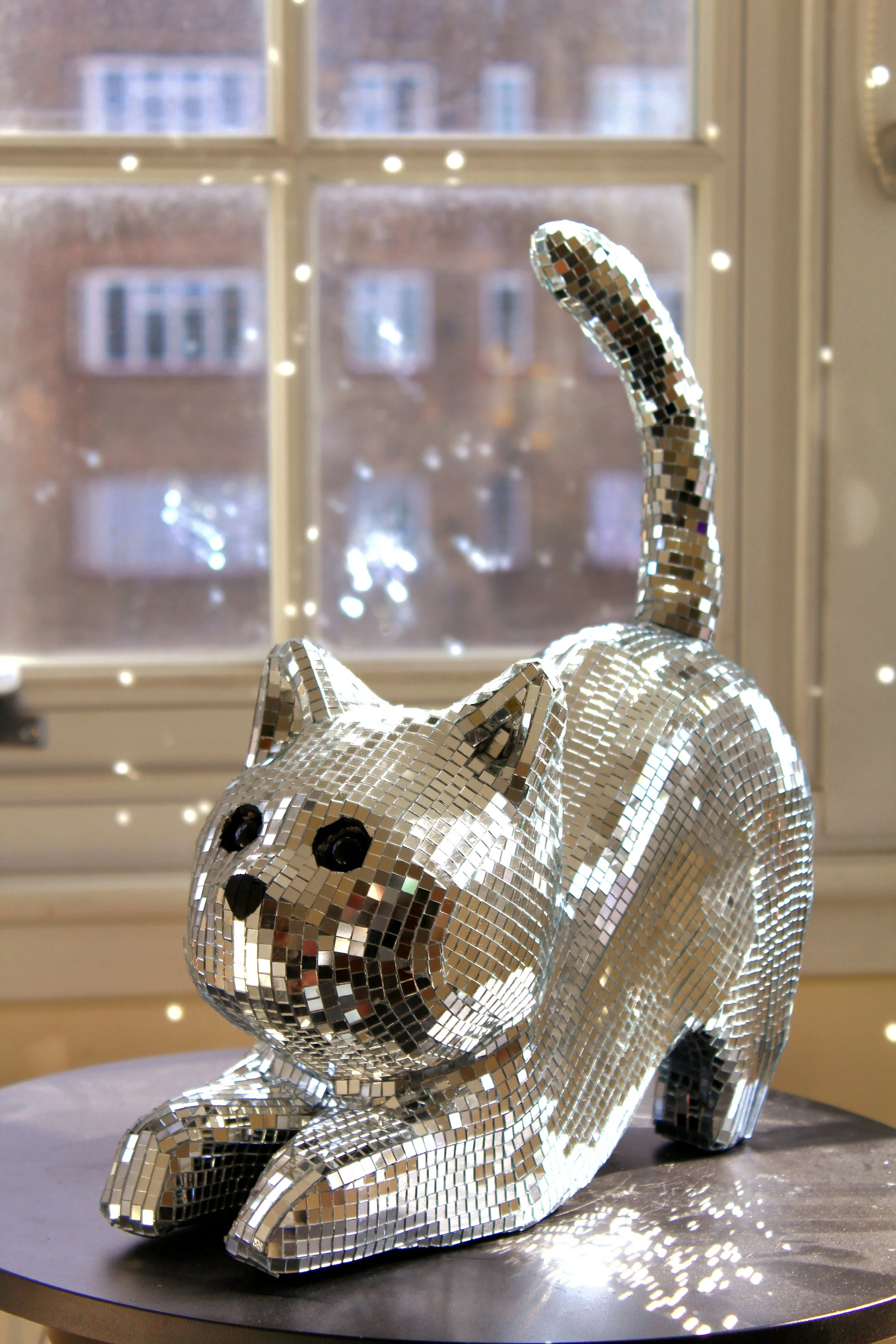 Disco Kitten