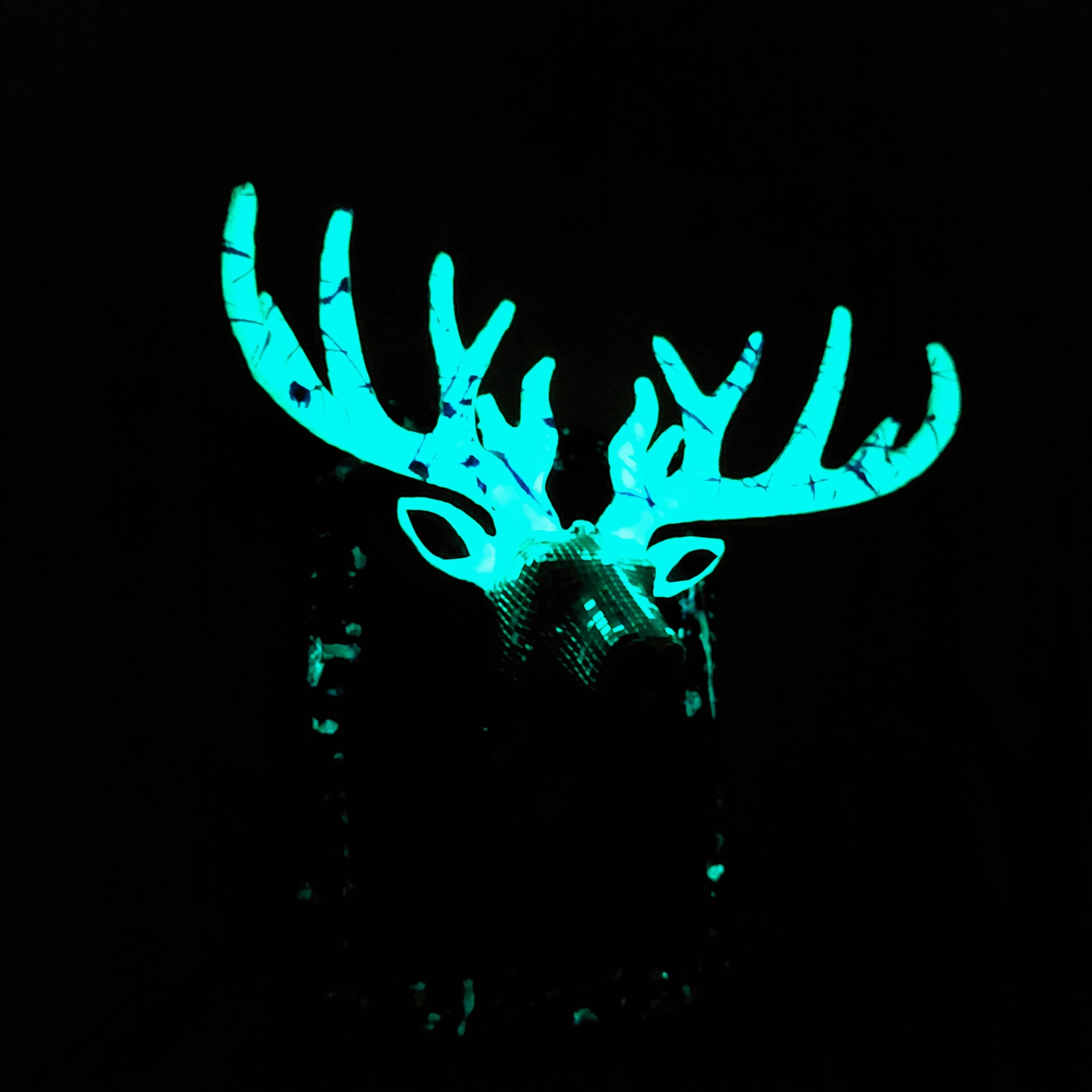 20230605_005453.jpg
