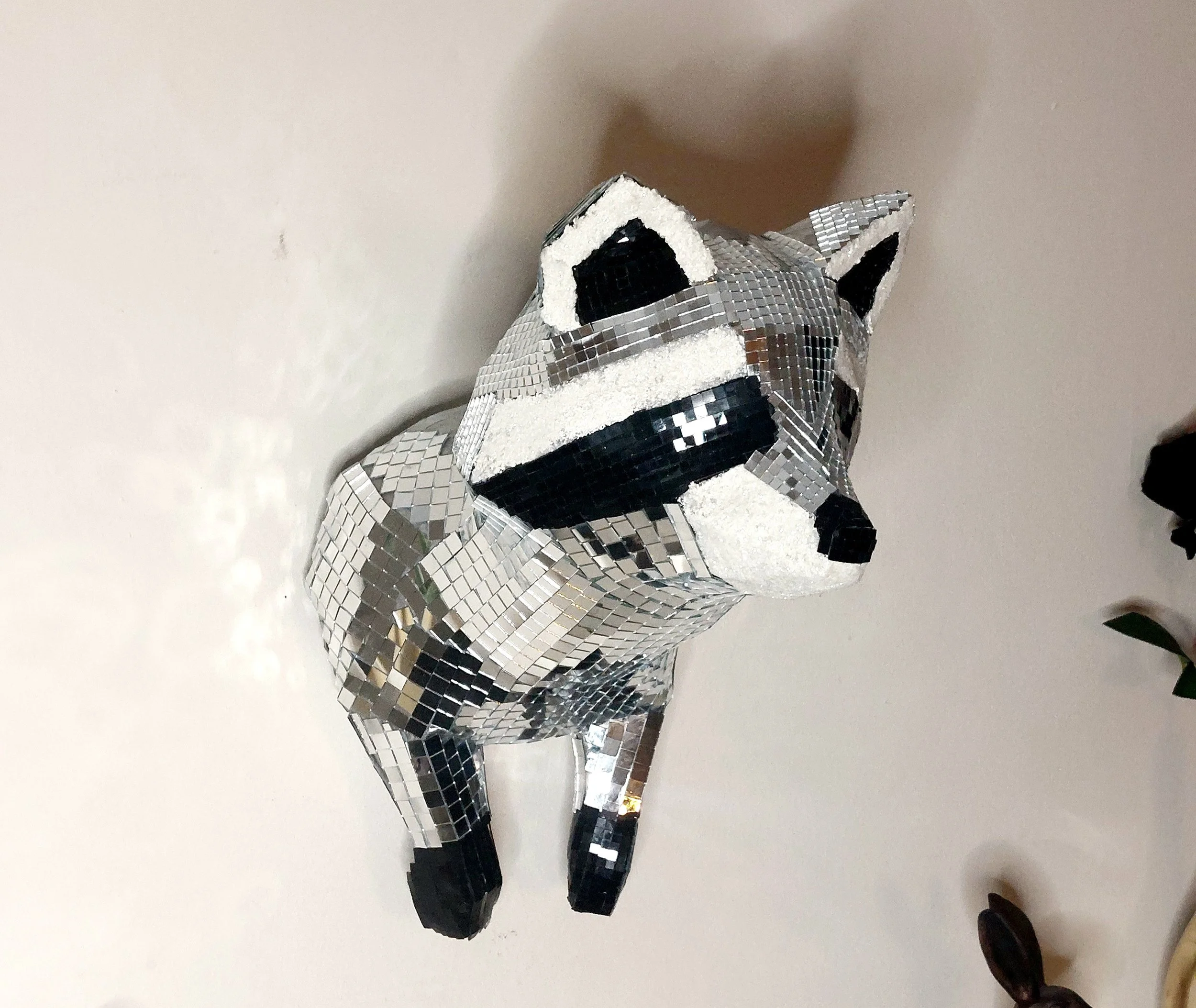 Disco Raccoon