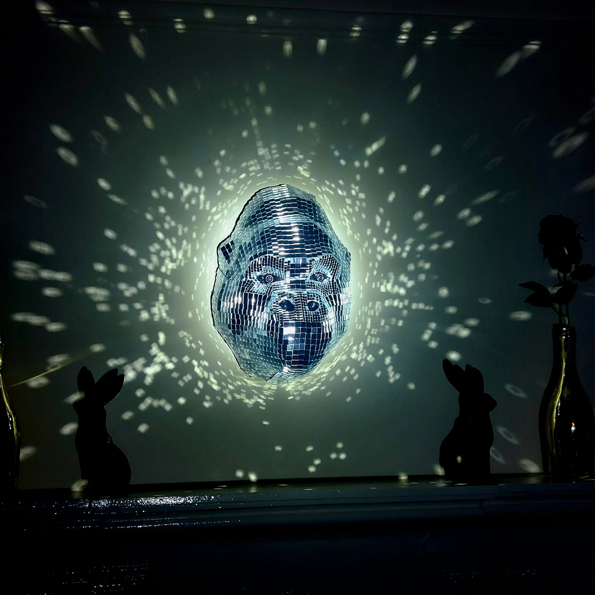 Disco Gorilla