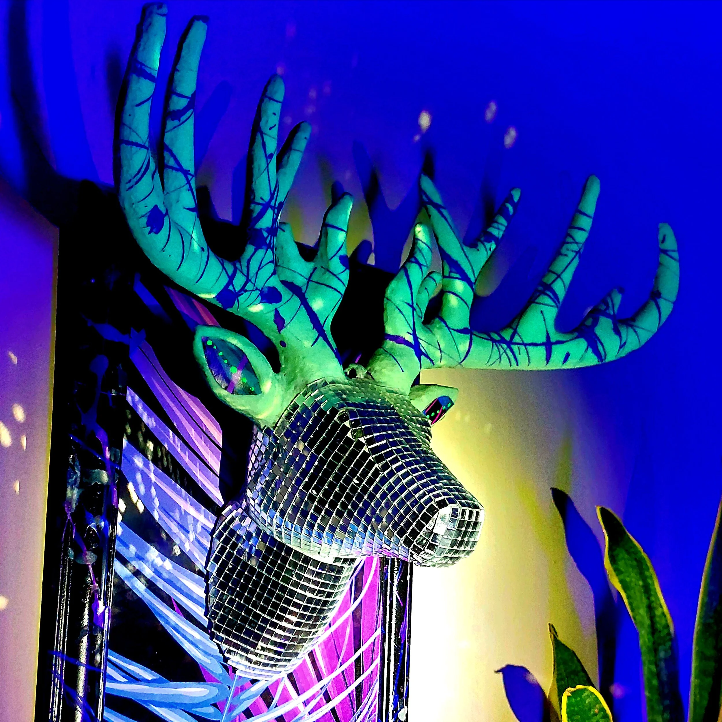 20230605_005848.jpg