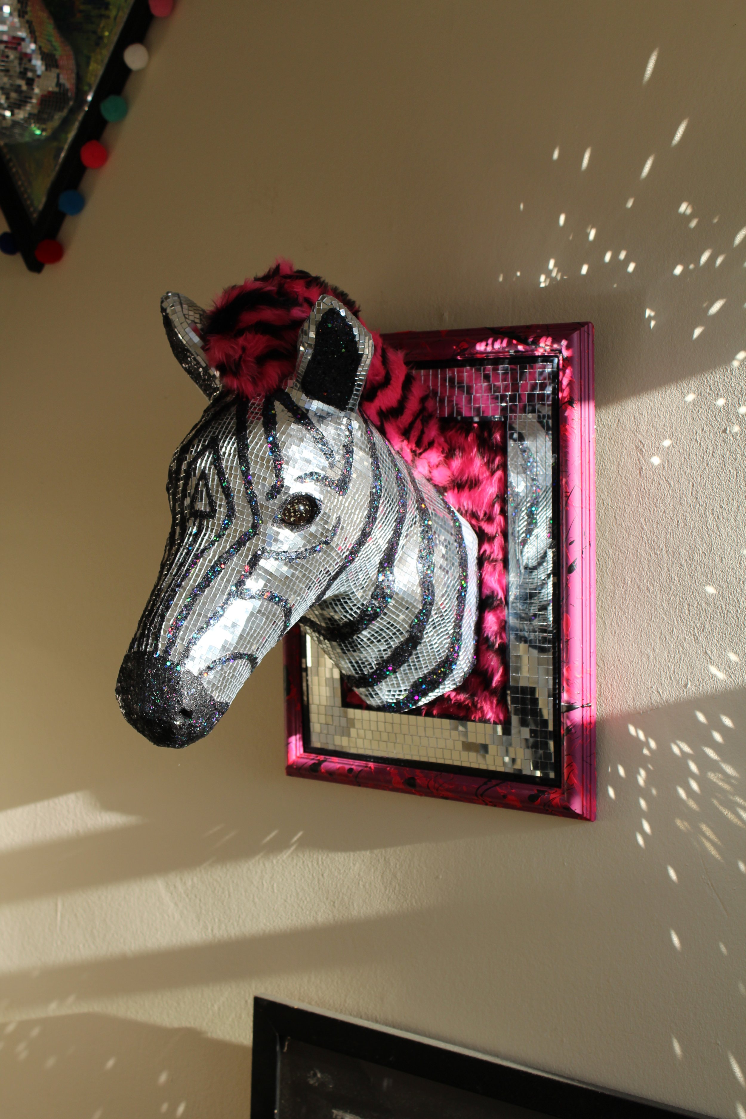 Disco Zebra
