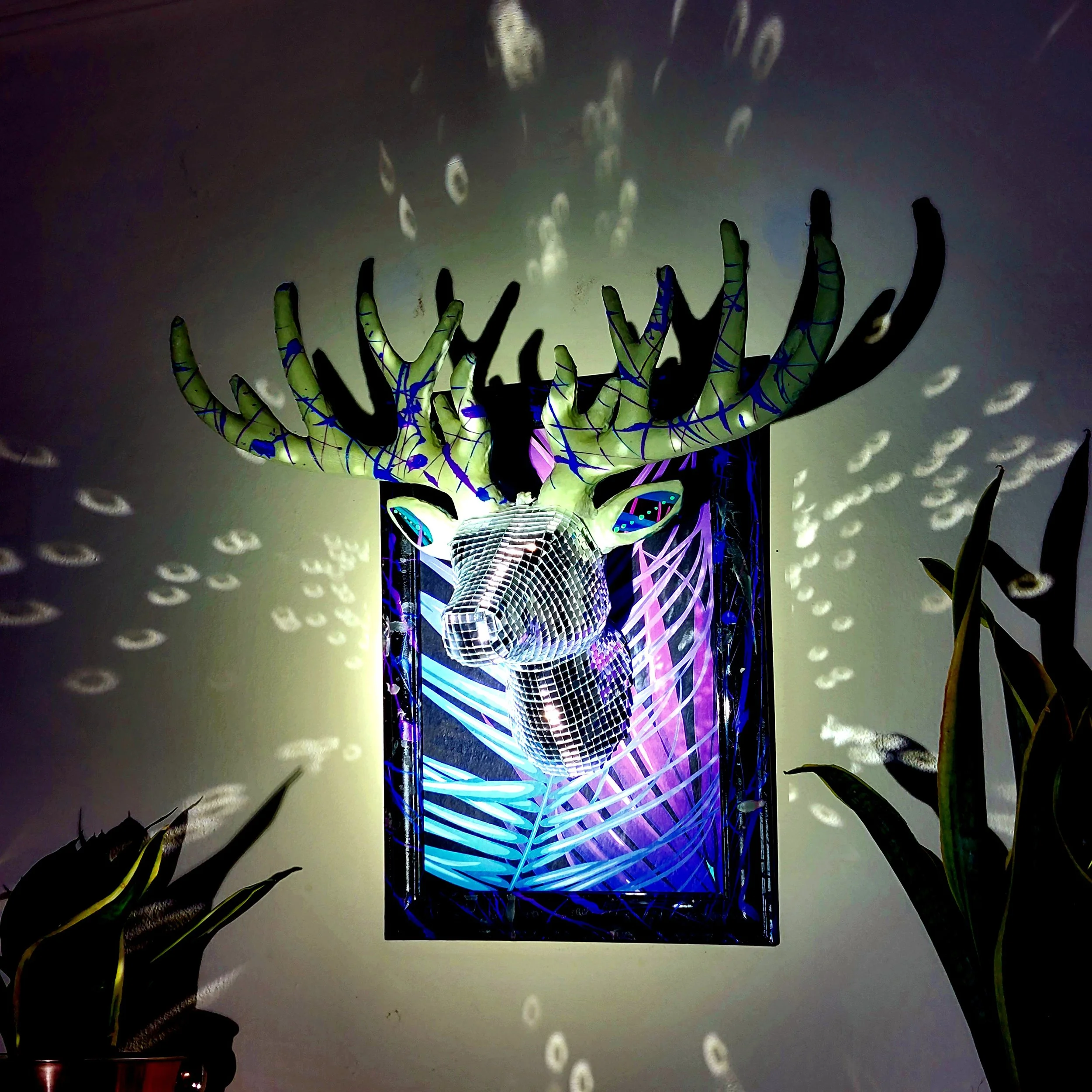 20230605_005144.jpg