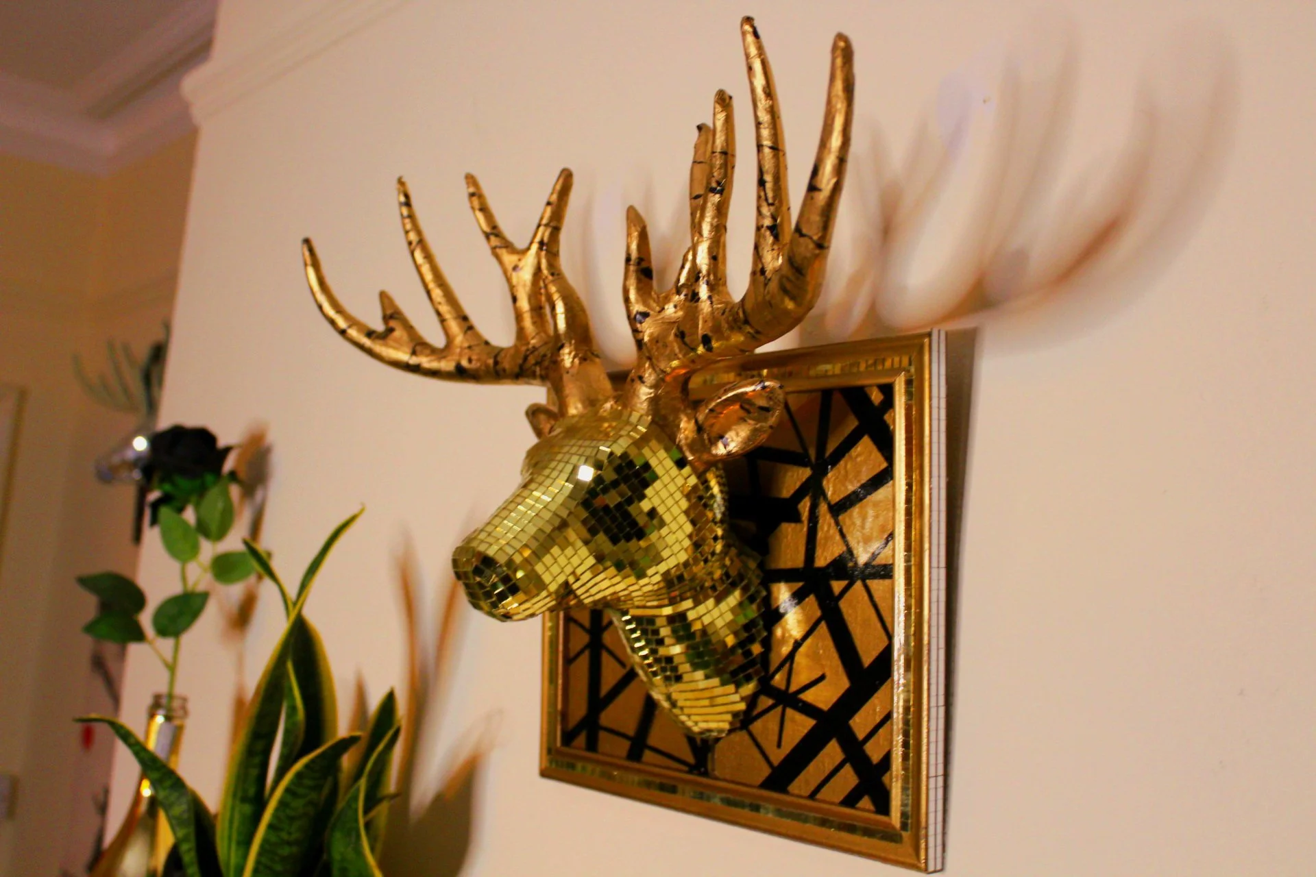 Disco Stag Black & Gold