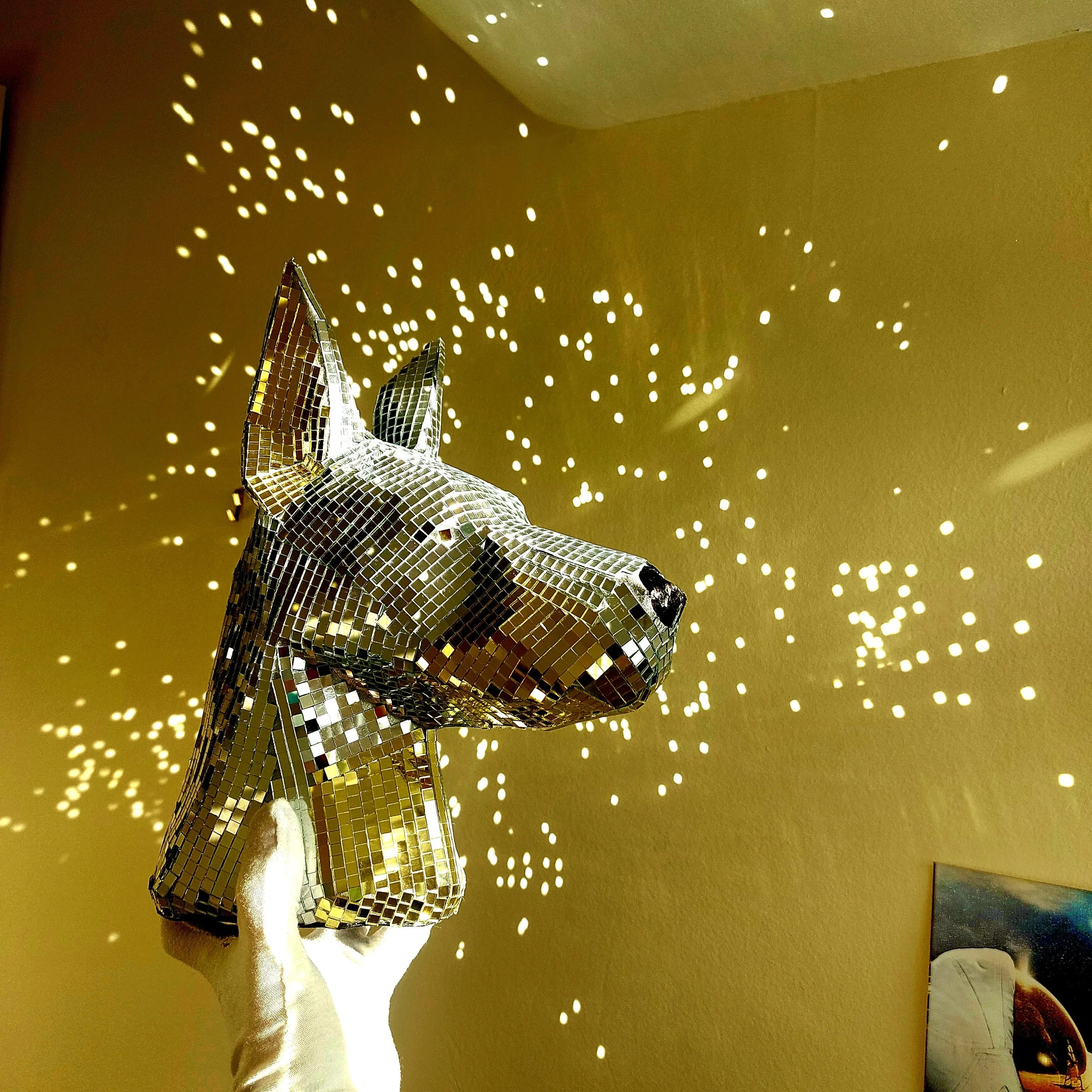 Disco Dobermann