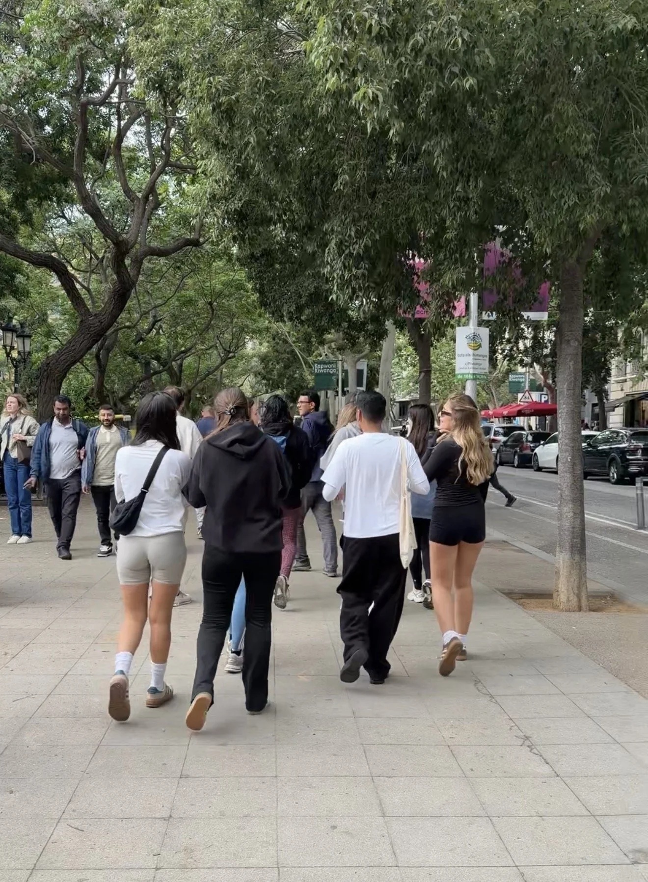 Caminata de 1h cada Martes 10h