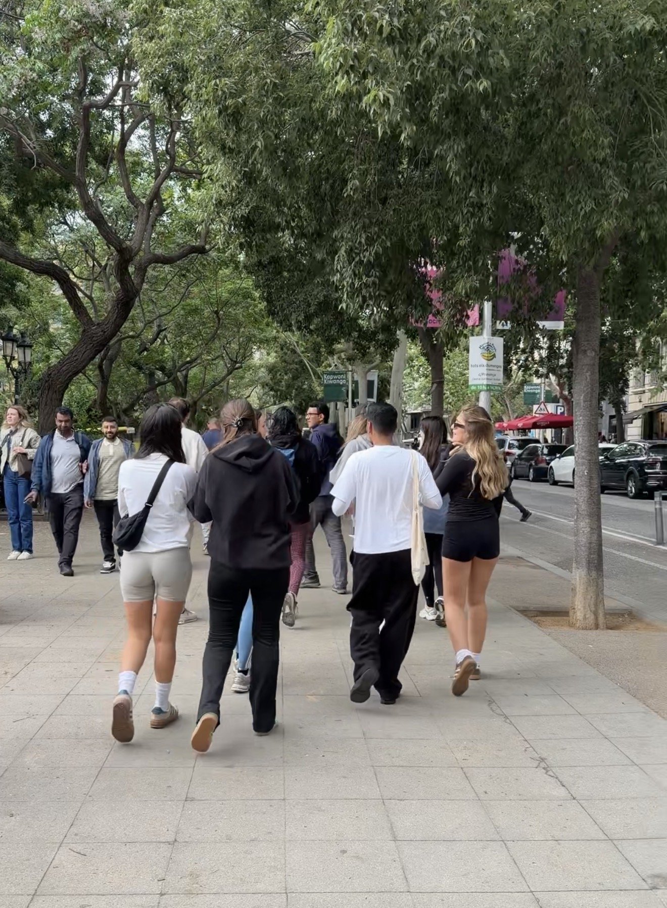 Walking club verde studio barcelona meet new people