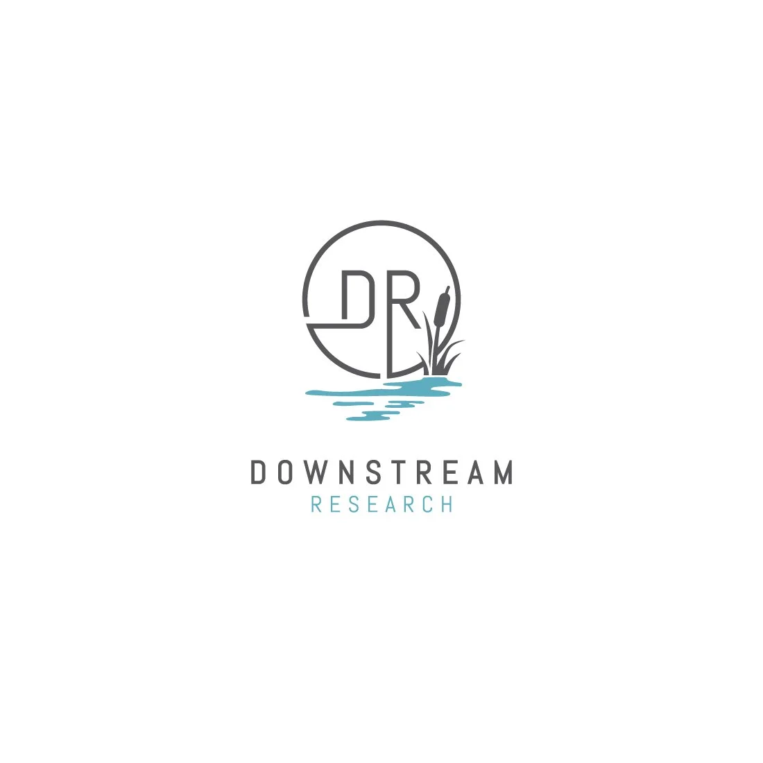 Downstream-Research-Logo-Proof2.jpg