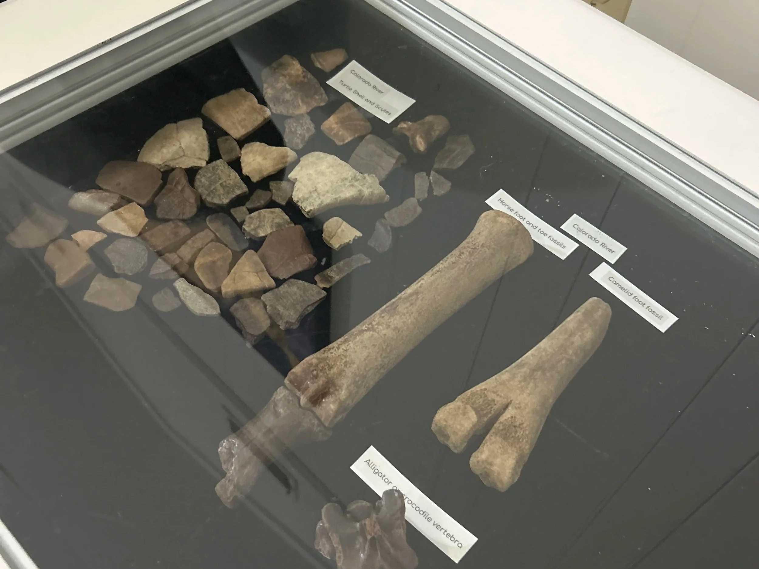 Museum in the making