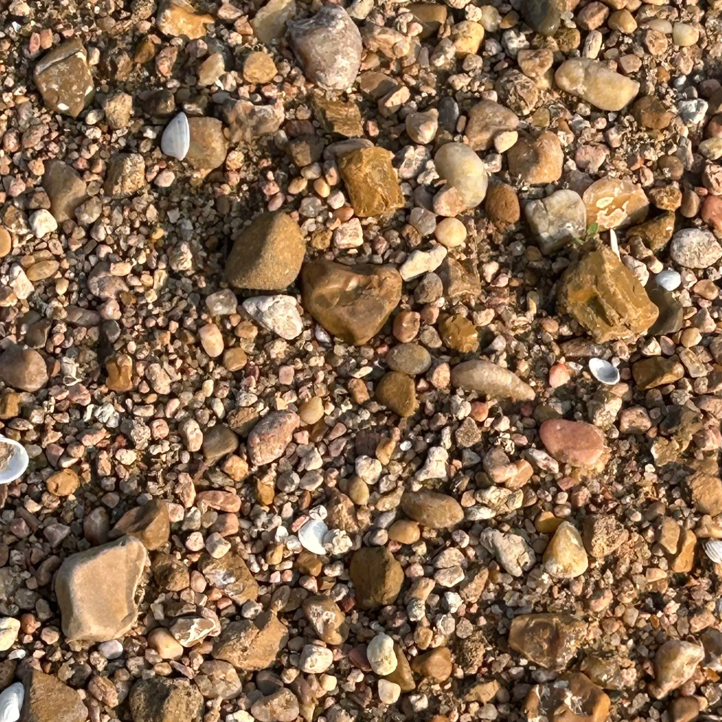 Tumbling River Rocks