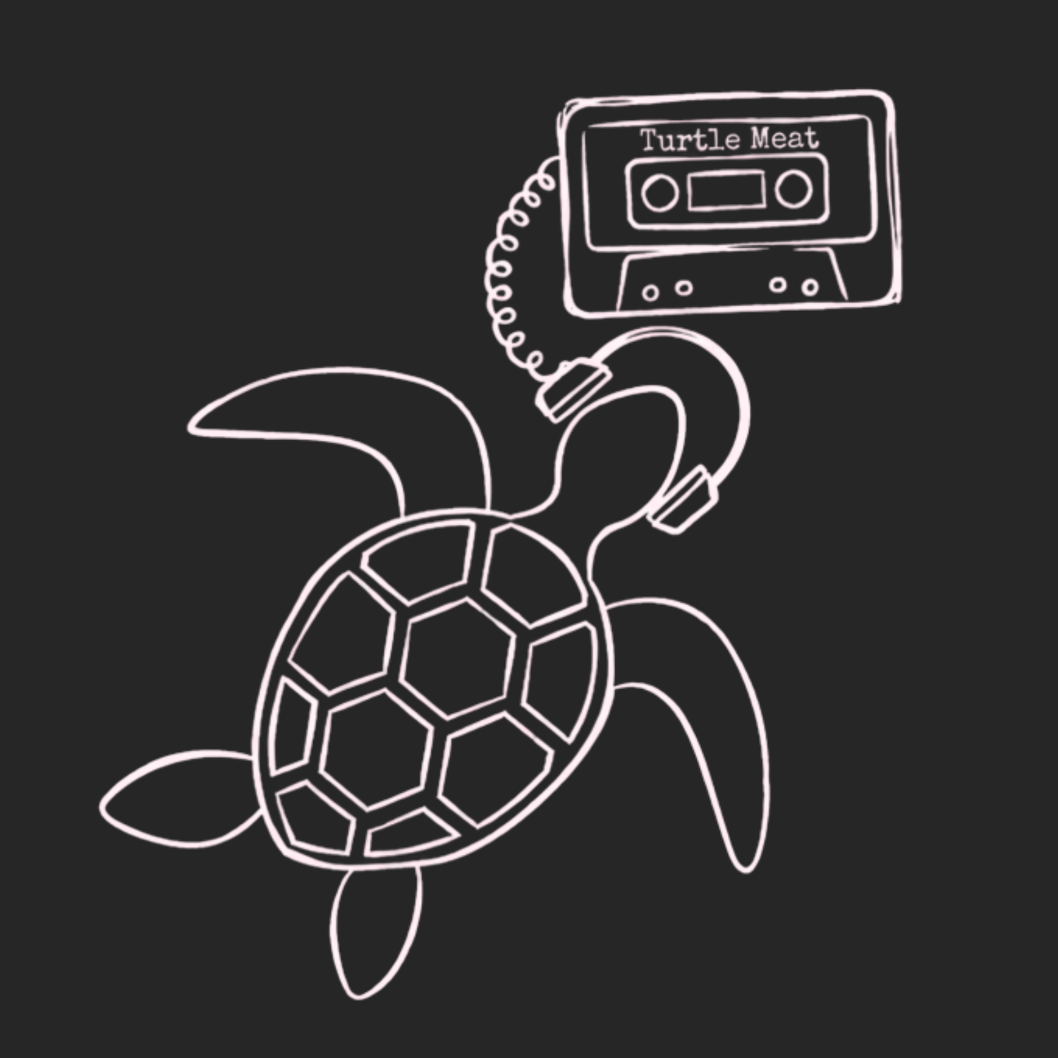 Turtle Meat Mixtapes