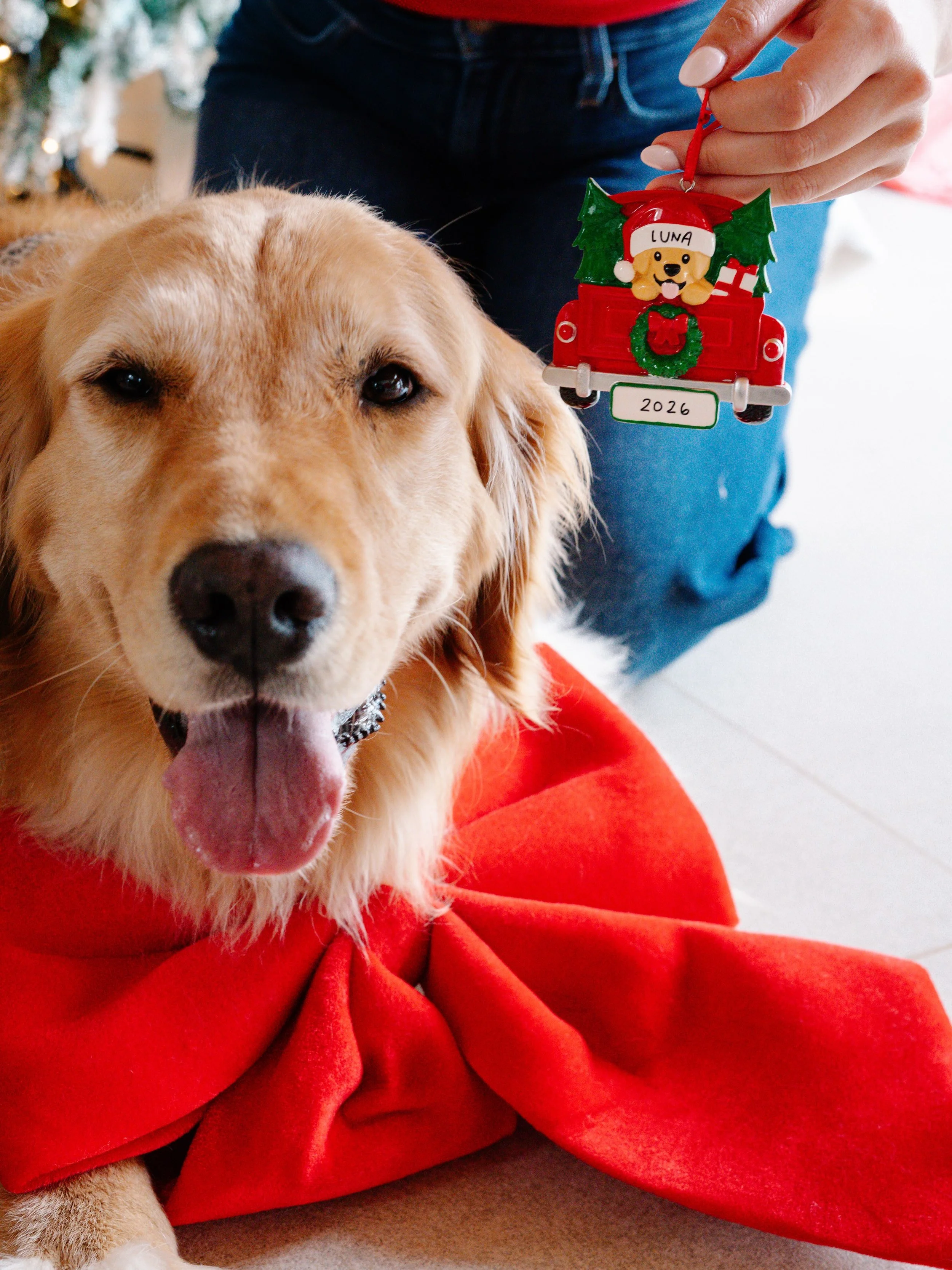 Si algo hemos aprendido estos 8 a&ntilde;os, es que nuestros clientes AMAN a sus mascotas ❤️🐾 🐶🐴🐱 Encuentra las opciones de adornos de mascotas bajo ESPECIALES, o agrega un add-on al adorno de tu familia por Q30 🙌🏻
.
.
.
#Falala2026 #Navidad202