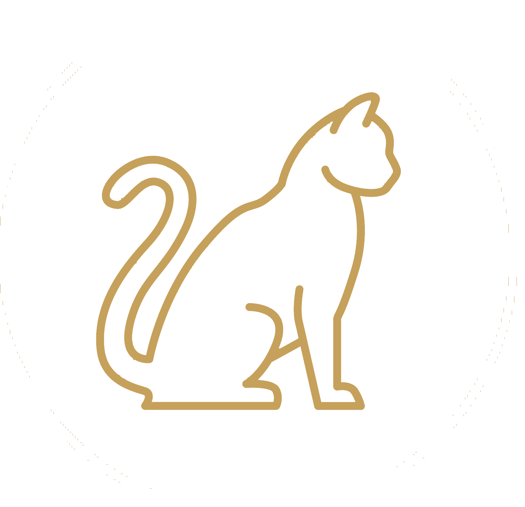 Outline drawing of a lion standing on its hind legs with its front paws raised, inside a dashed circular border.