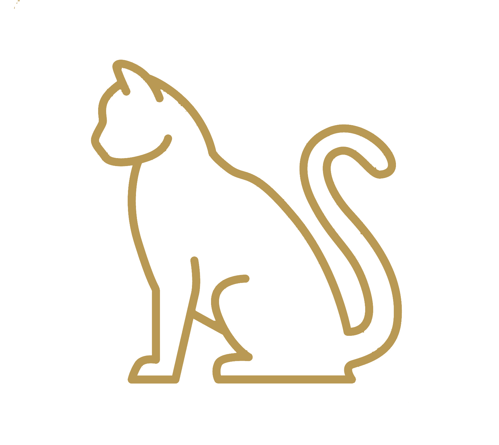 cat icon