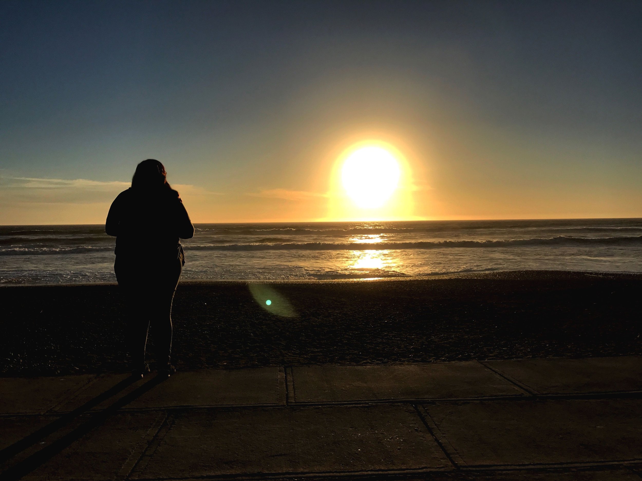 Sarah Didier web designer