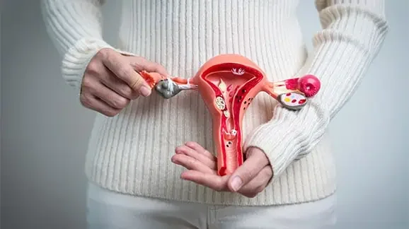 Study: Suppressing ovaries  with hormone add-back