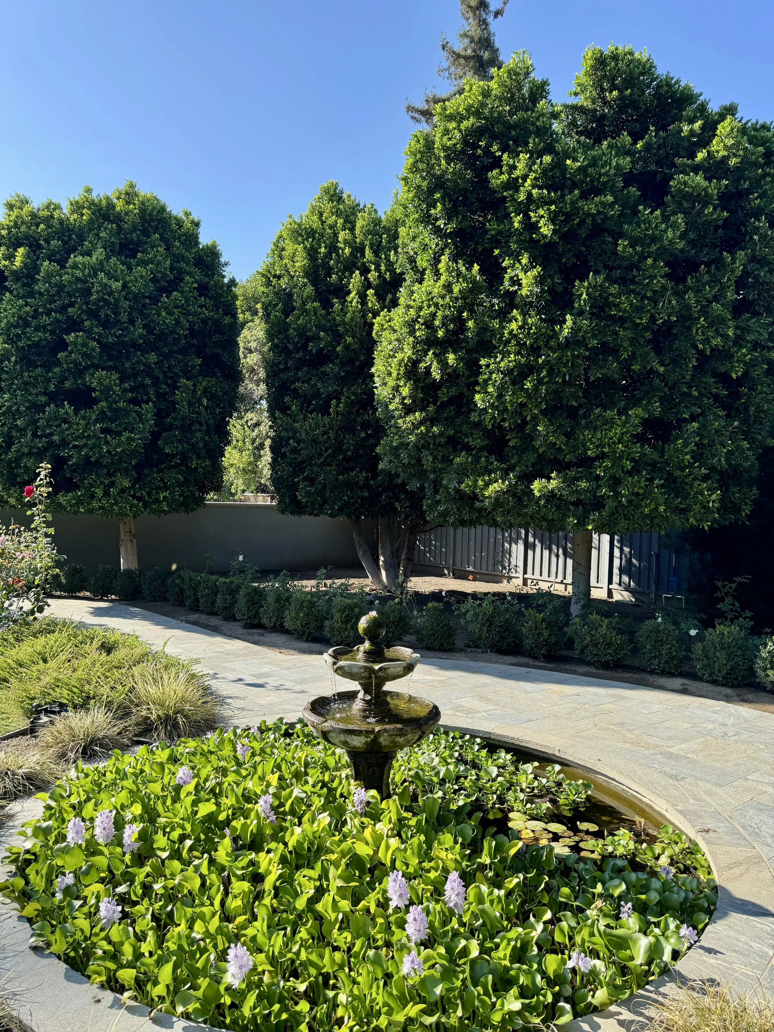 Green trees surround a small garden with a stone pathway and a multi-tiered fountain in the foreground, bright blue sky overhead.
