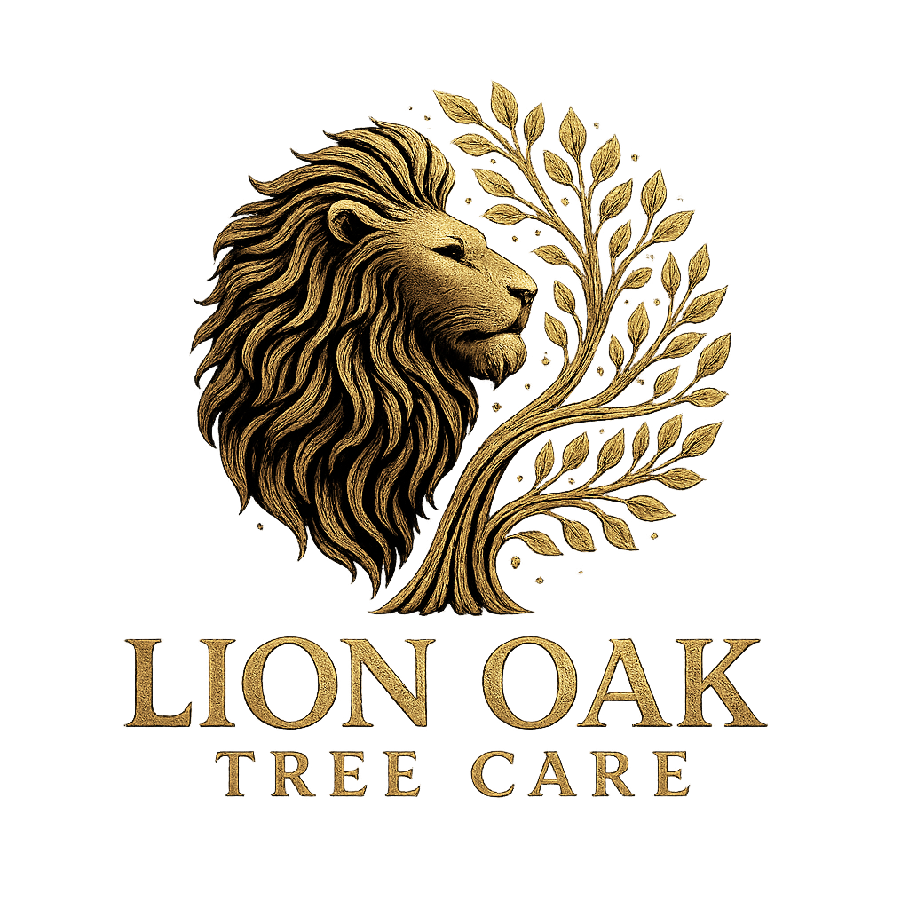 Lion Oak Tree Care